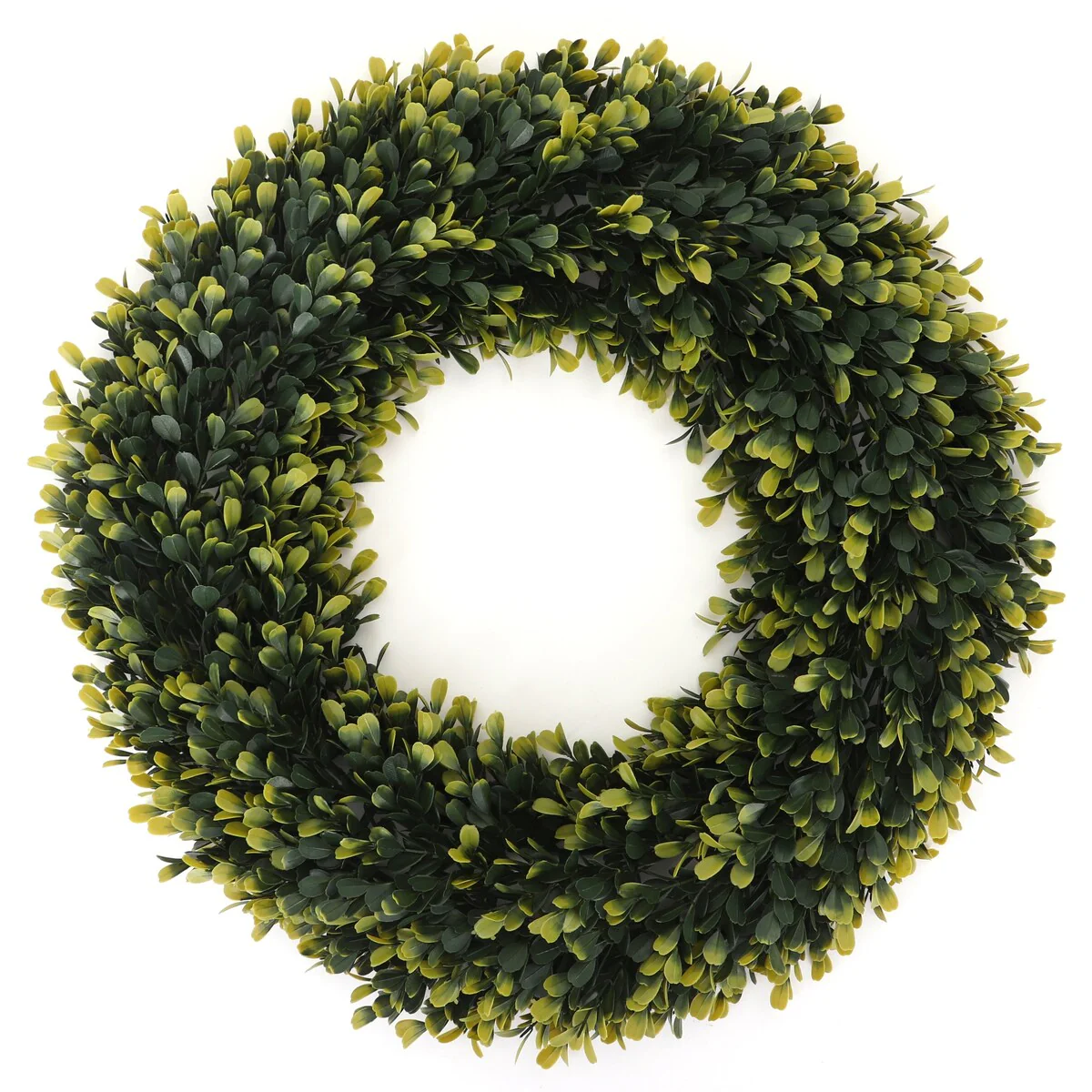 Golden Boxwood Wreath