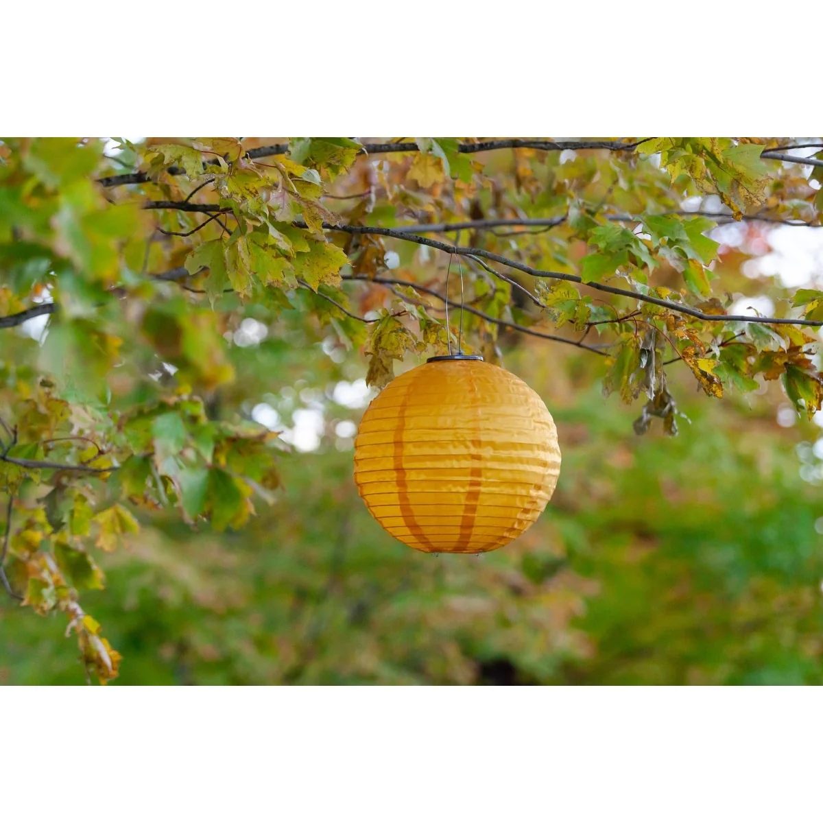 Soji Globe Festival - Canary Yellow