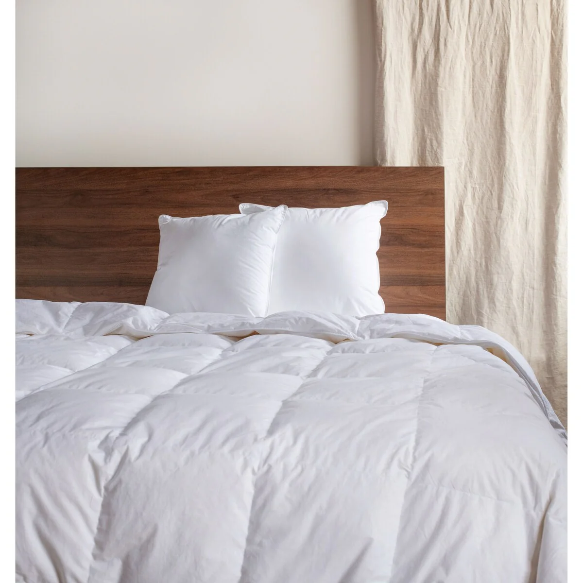 2 Pack Down Alternative Throw Pillow Insert by BOKSER HOME