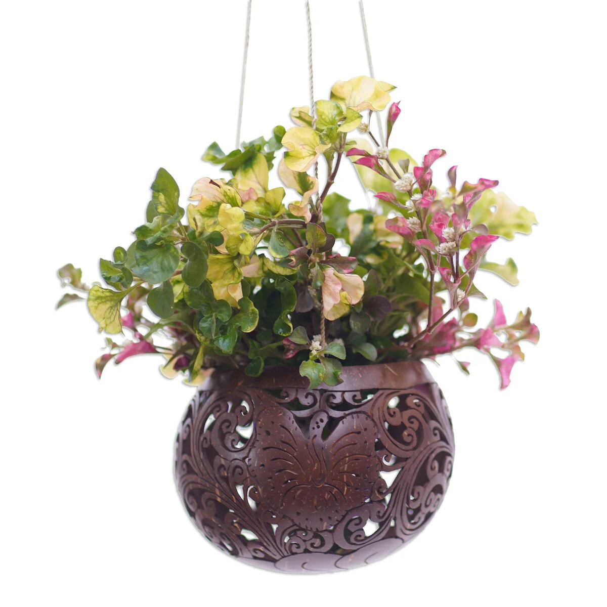 Novica Handmade Tropical House In Bloom Coconut Shell Hanging Planter