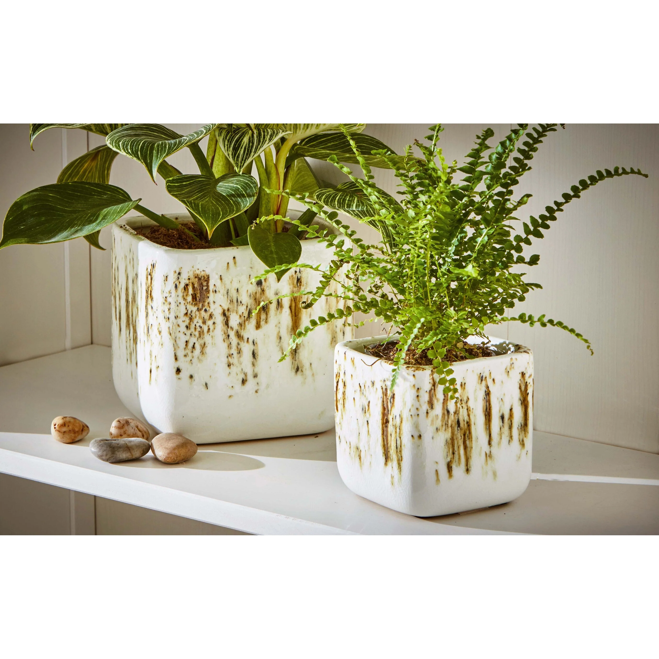 Square Planter Large