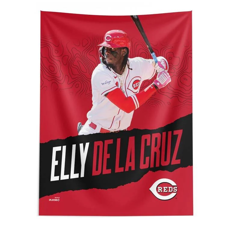 MLB Cincinnati Reds Player Wall Hanging - 50