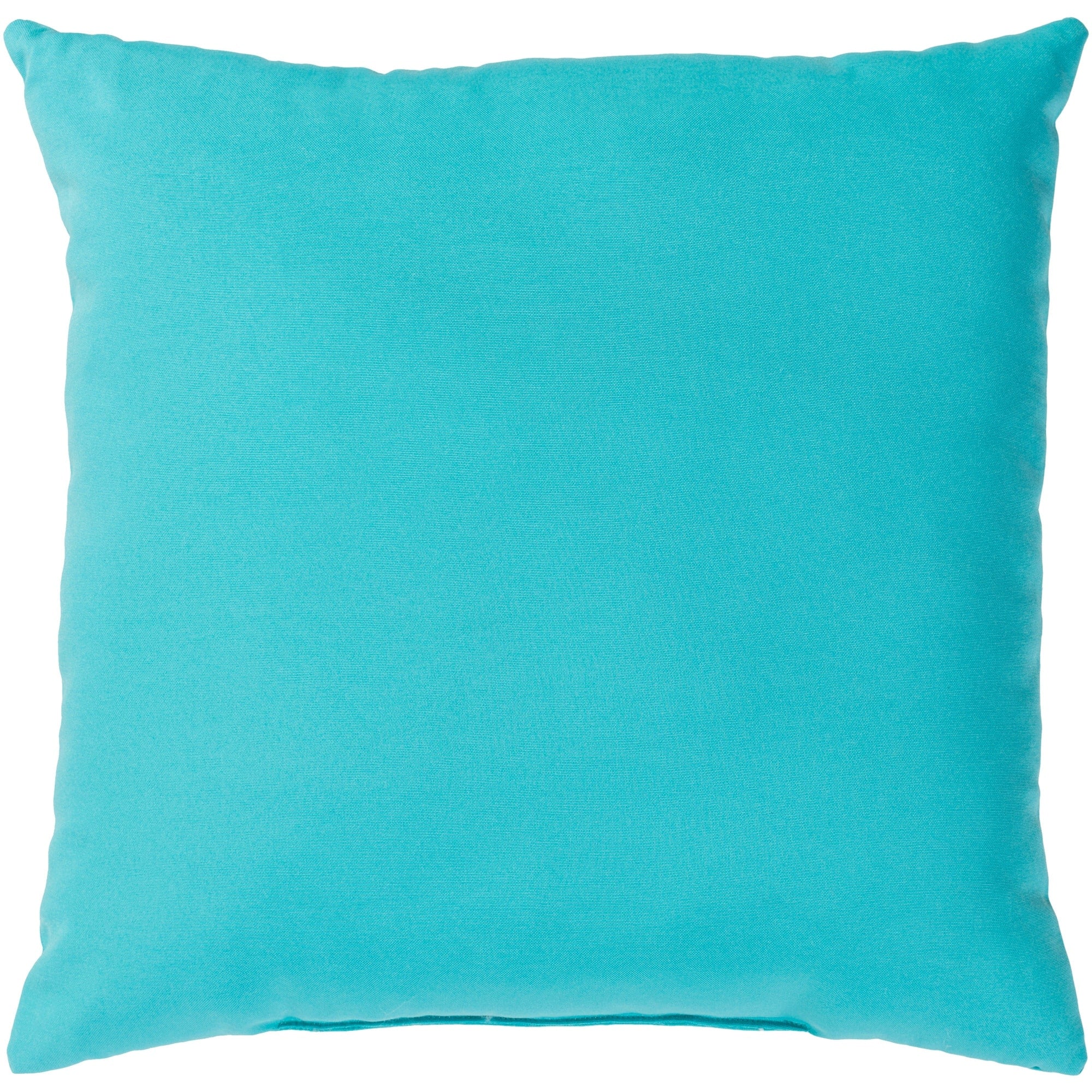 Miguel Aqua Solid Indoor/ Outdoor Throw Pillow (16