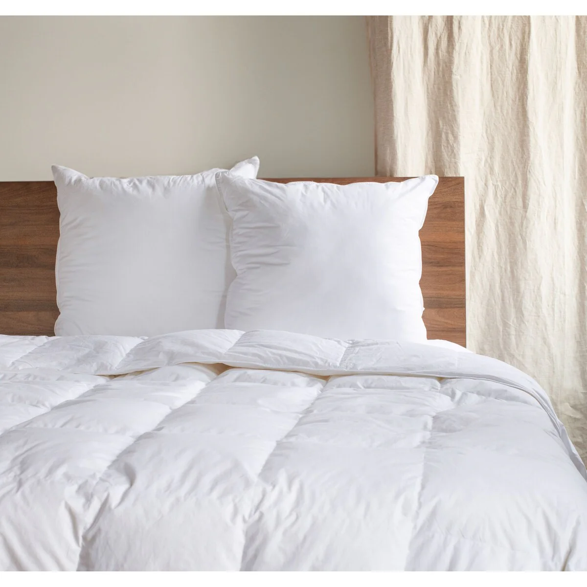 2 Pack Down Alternative Throw Pillow Insert by BOKSER HOME