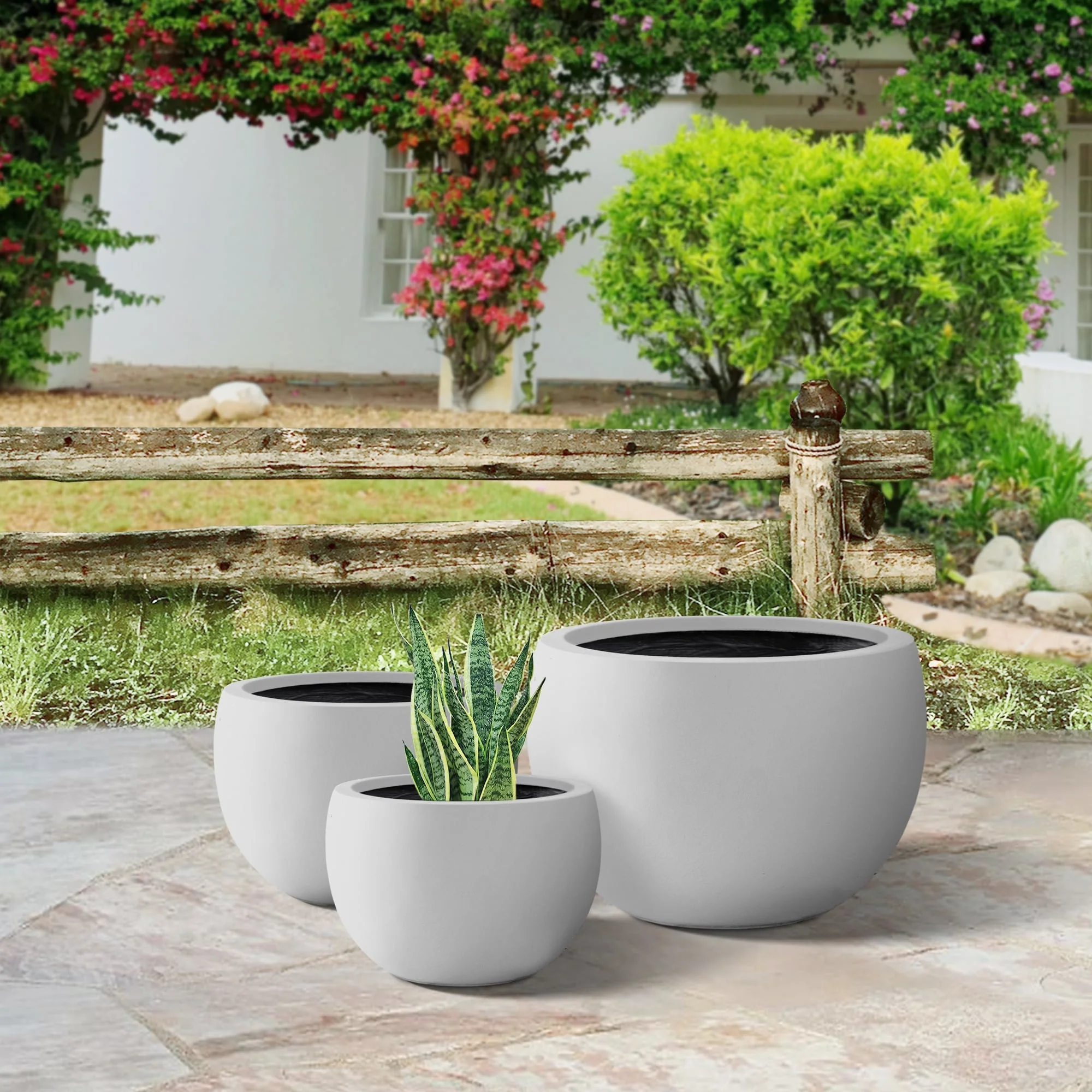 Plantara 20