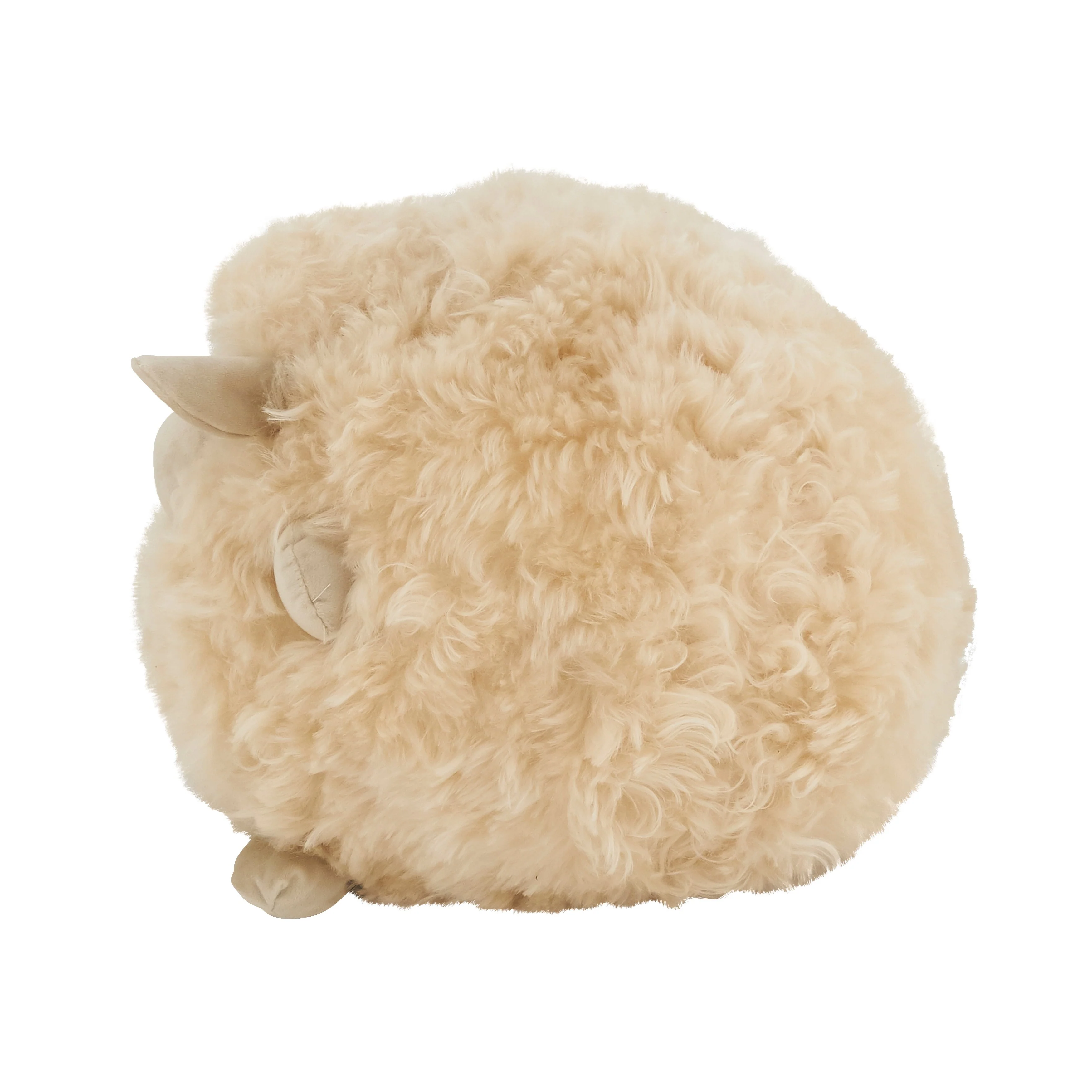 Wooly Wonder Baby Lamb Poly Filled Throw Pillow