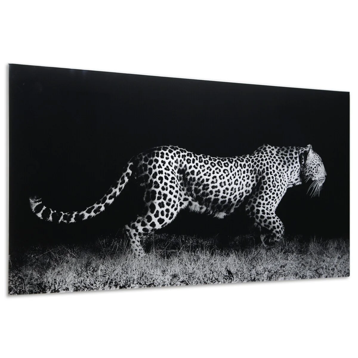 Leopard Wall Art Printed on Frameless Free Floating Tempered Glass