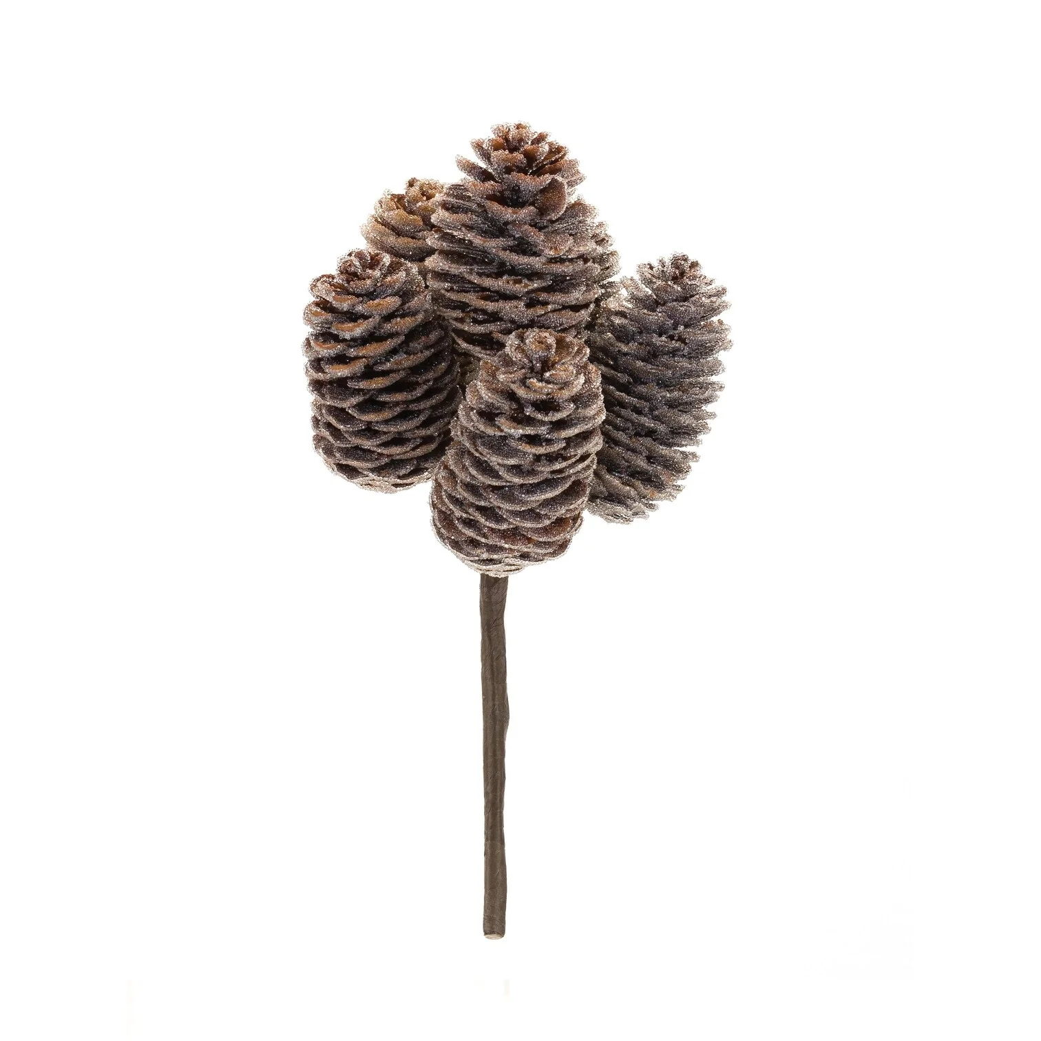 Pine Cone Bundle (Set of 12) - Brown