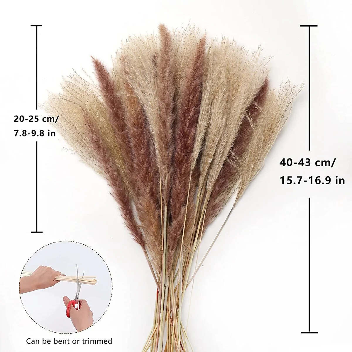 30 pcs Pampas Grass Natural Pampas for Flower Home Wedding