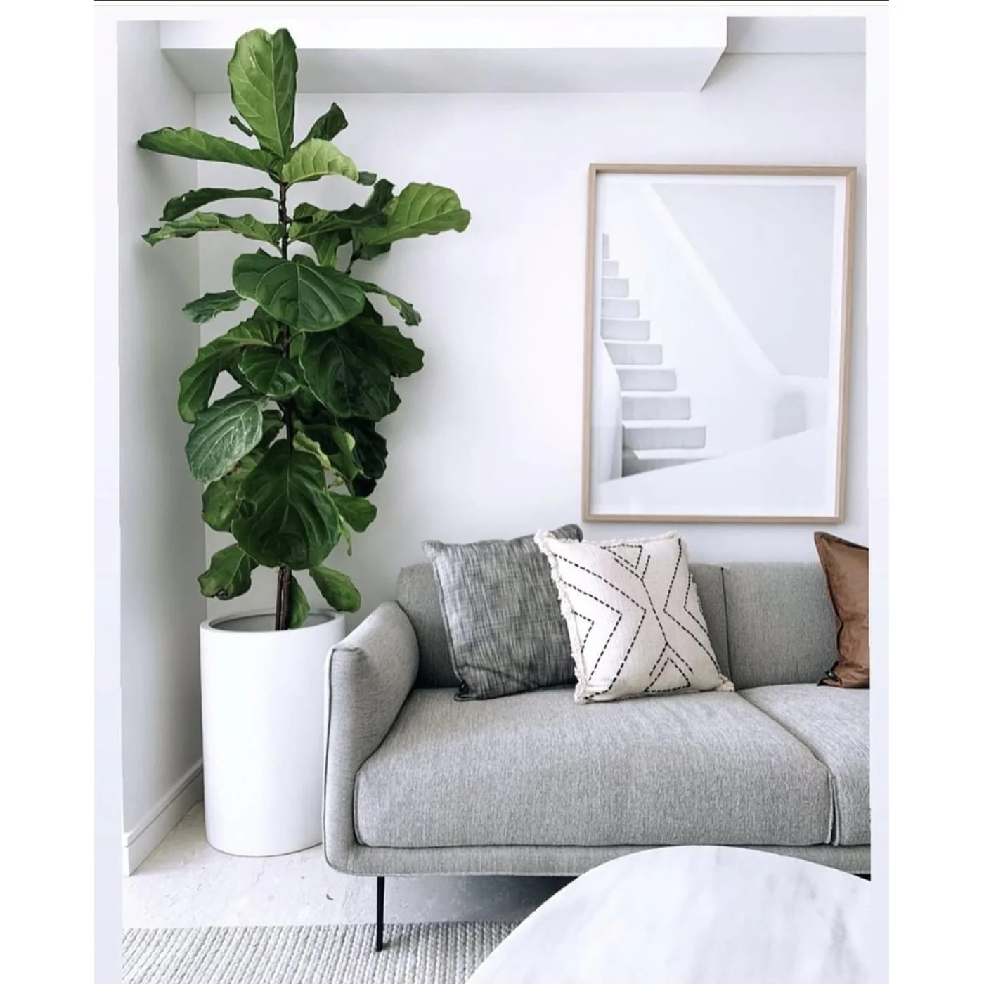 DreamPatio Fontana 10