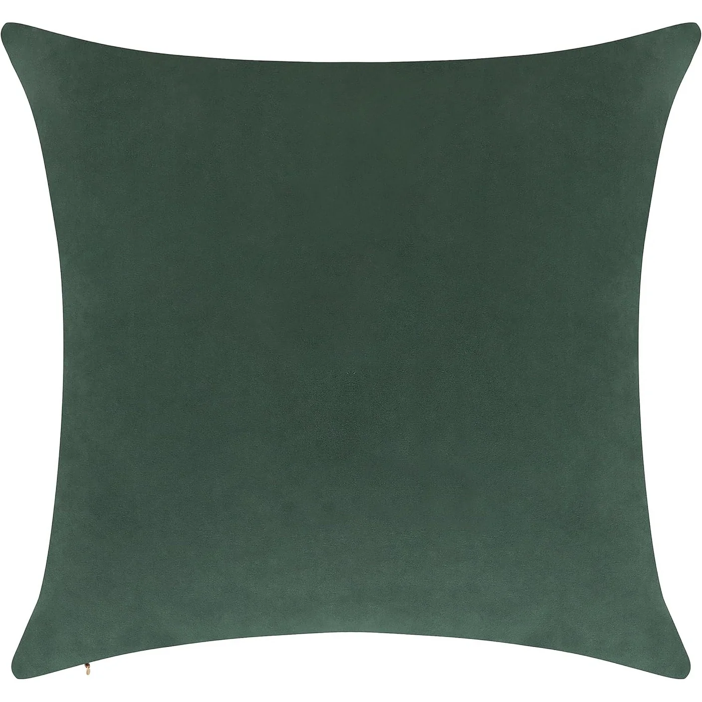 Delara Pack of 1 Velvet Decorative Throw Pillow Cover 20x20 Inches, Cushion Cover, Soft and Breathable Fabric, Hidden Zipper