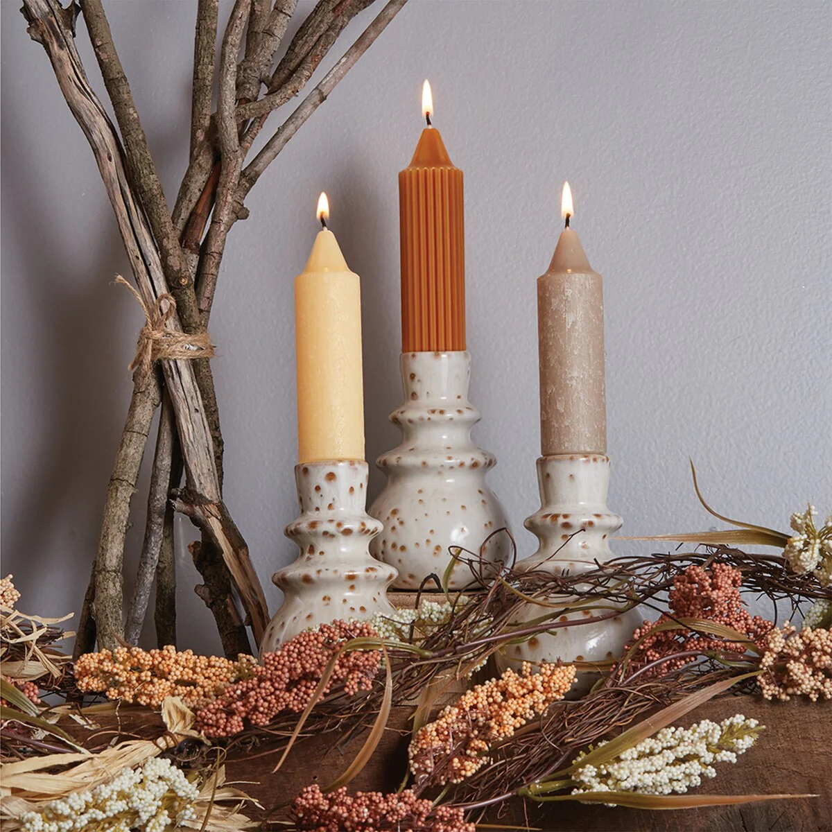 Root Unscented 5 In. Timberline™ Collenette Taper Candles box of 8 - 5 X 1-1/4