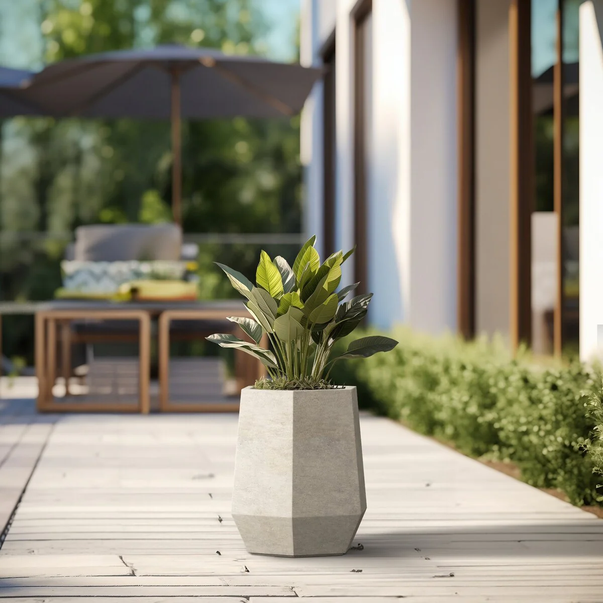 Tall Concrete Geometric Plant Pots / Large Indoor and Outdoor flower Planters