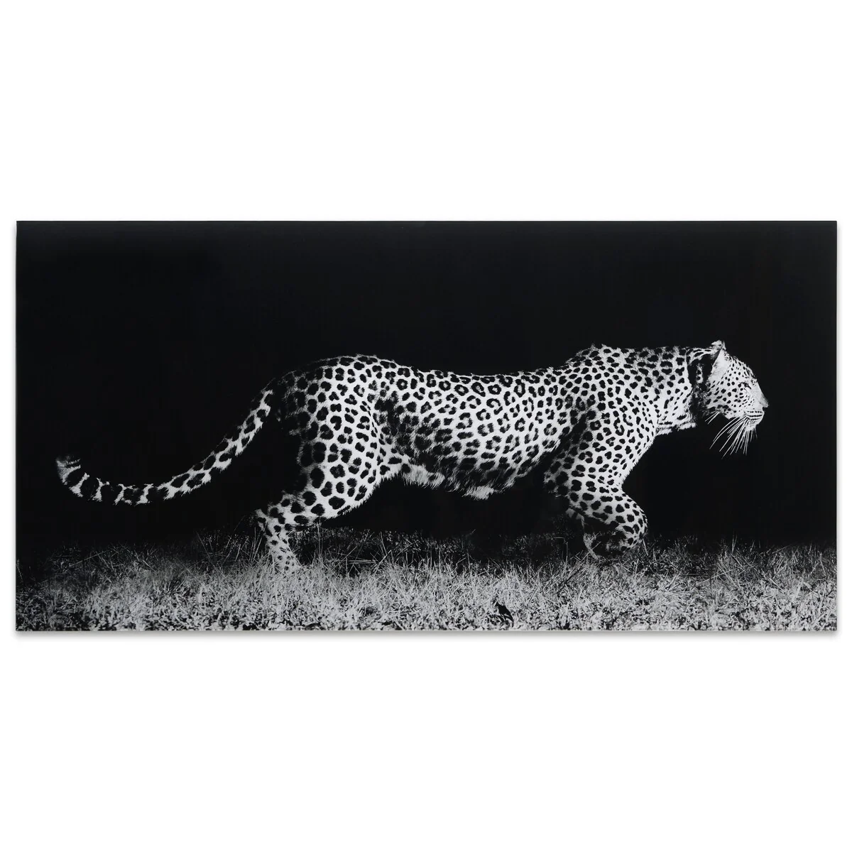 Leopard Wall Art Printed on Frameless Free Floating Tempered Glass