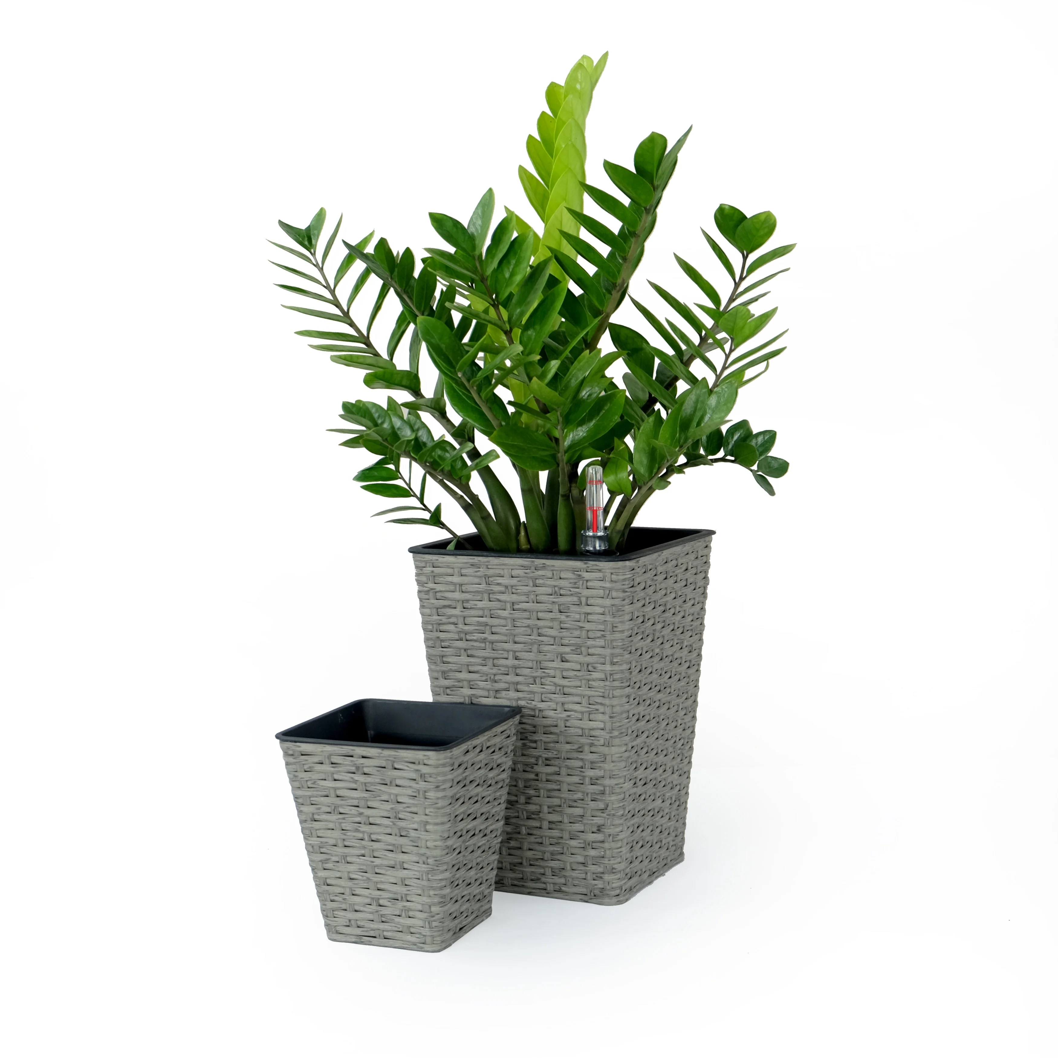 DTY Signature Square Wicker Planters