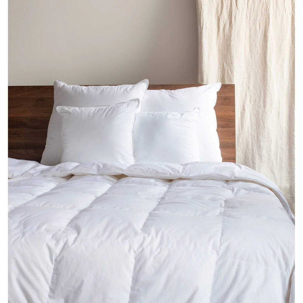 2 Pack Down Alternative Throw Pillow Insert by BOKSER HOME