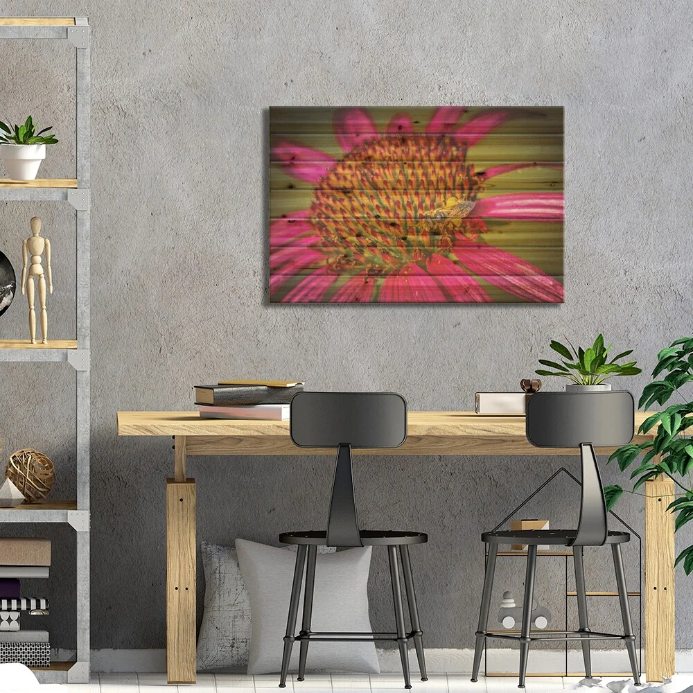 USA, Colorado, Fort Collins. Honey Bee On Echinacea Flower. Print On Wood by Jaynes Gallery - Multi-Color
