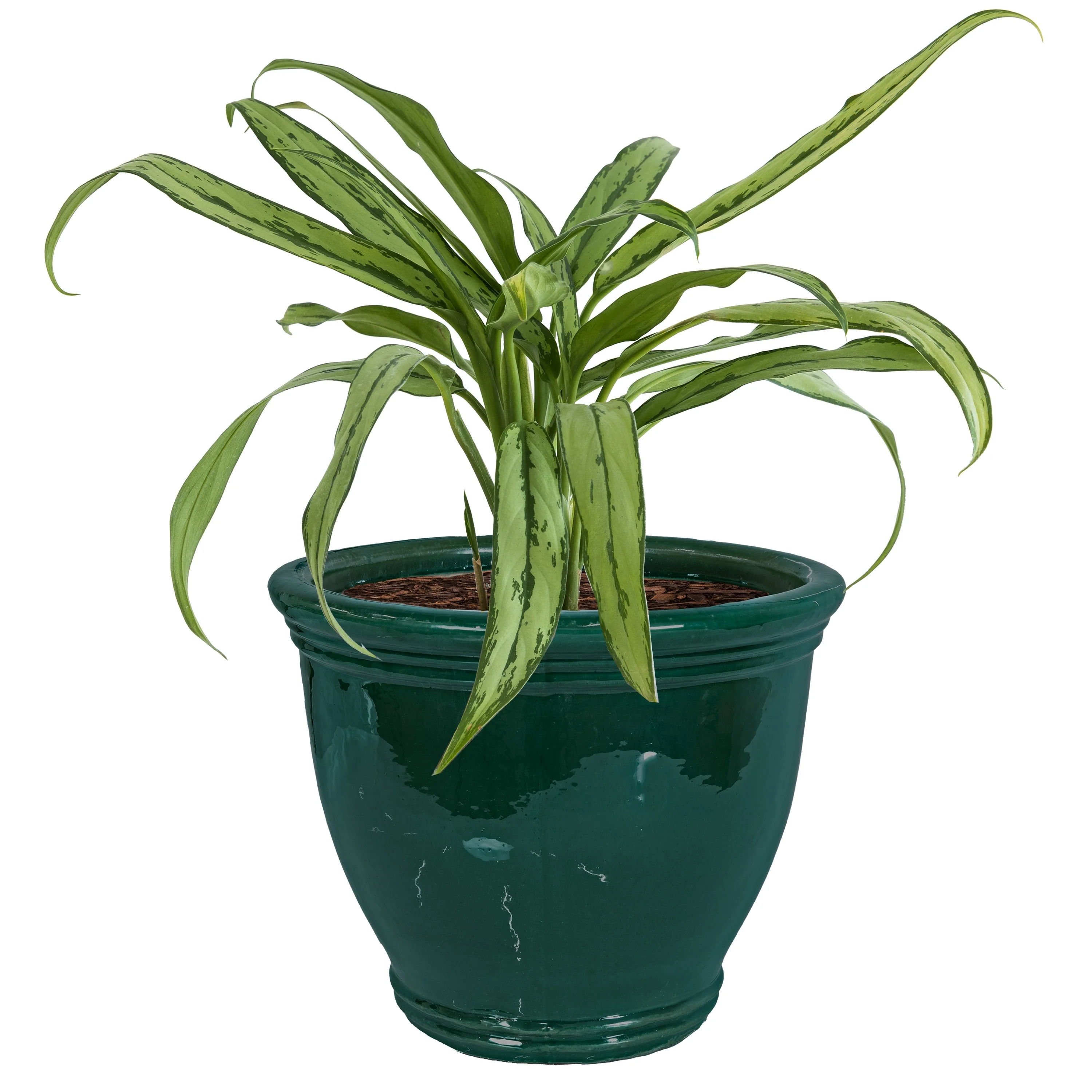 Sunnydaze Studio Glazed Ceramic Planter with Drainage - Dark Green - 15