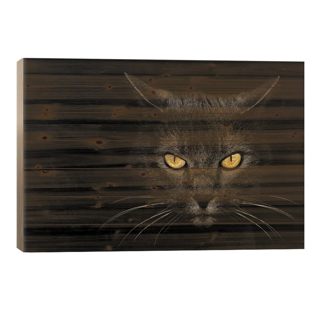 Monster Kill Print On Wood by Davorin Baloh - Multi-Color