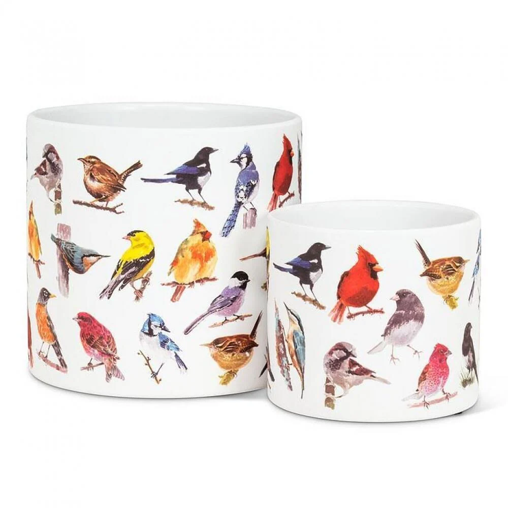North American Birds Planter