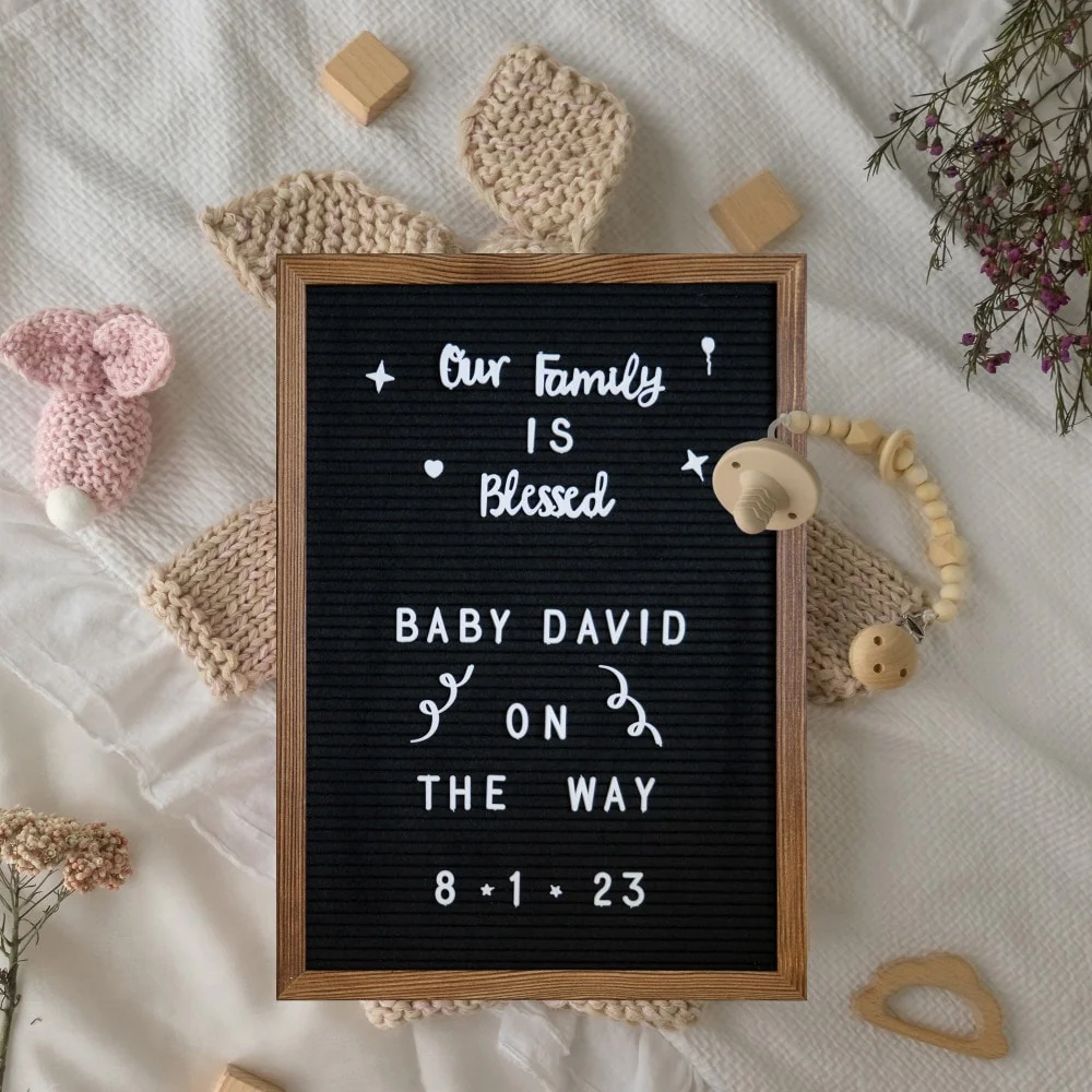 Wood Frame Letter Board with 389 PP Letters and Canvas Carry Bag