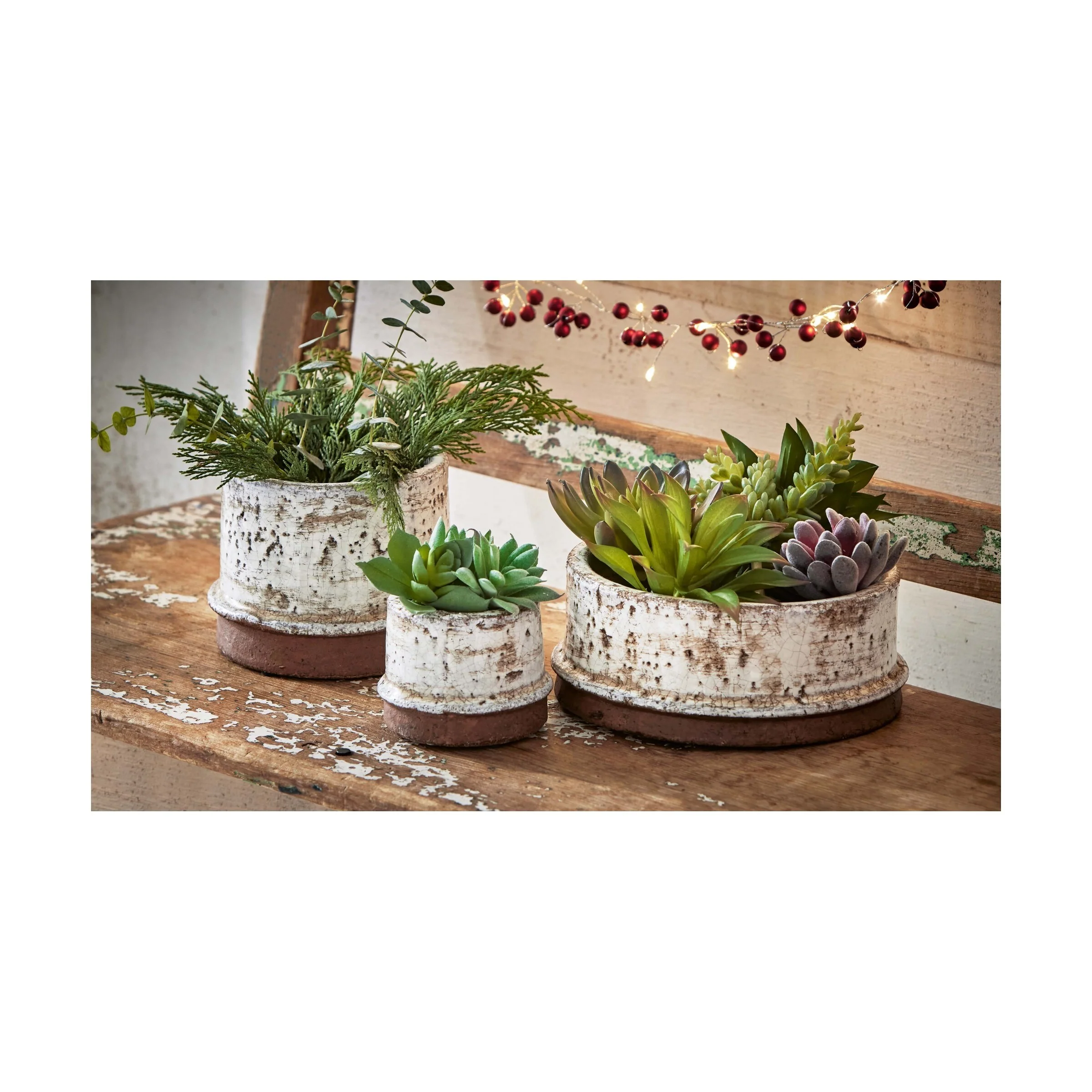 Canyon Planter Low