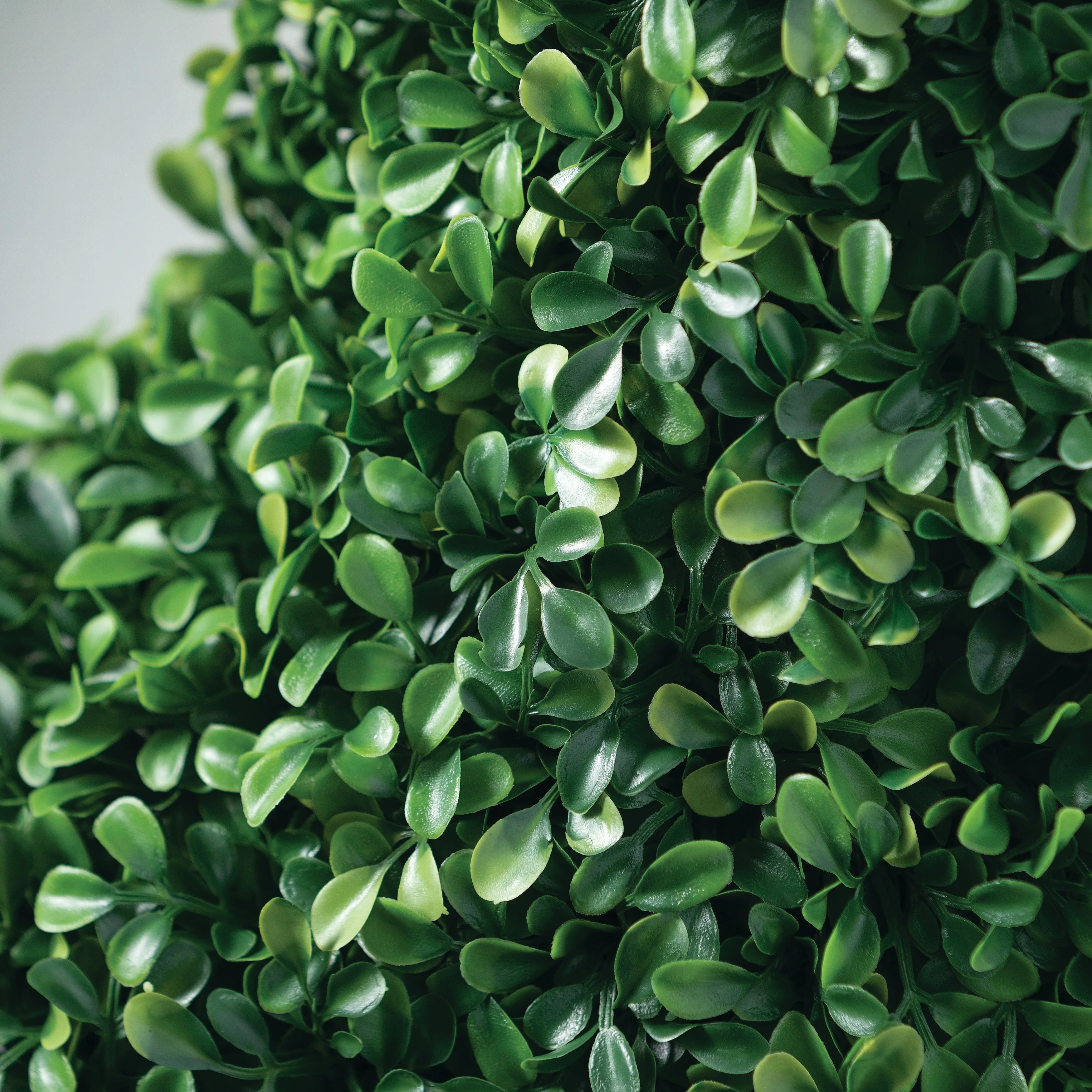 Sullivans Artificial Boxwood Wreath 30