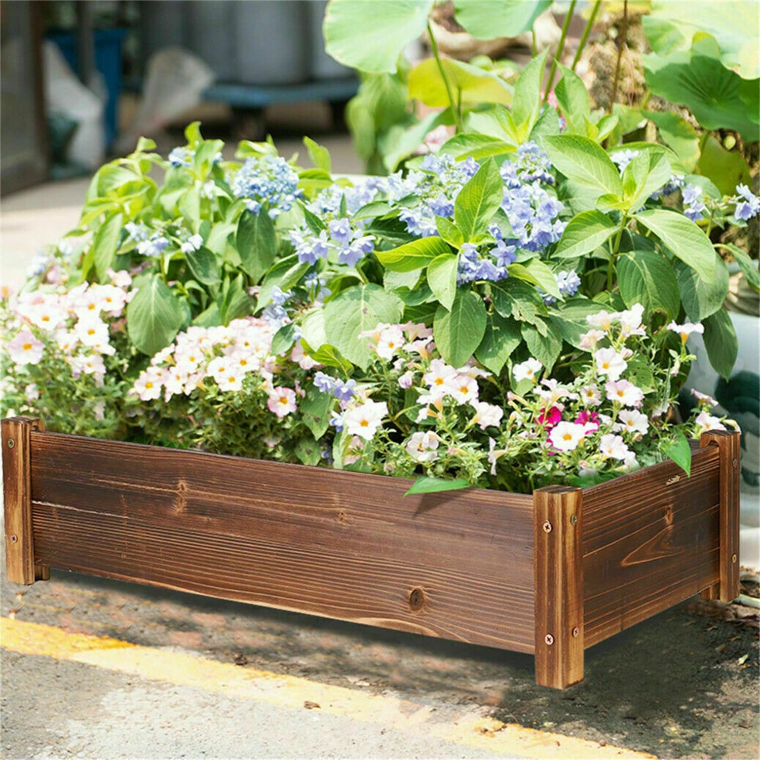 Carbonized Wood Raised Garden Bed Kit Elevated Planter Box For Growing - 26x13x6 inch