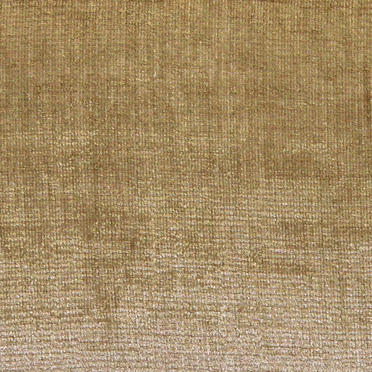 Venetian Velvet Throw Pillow