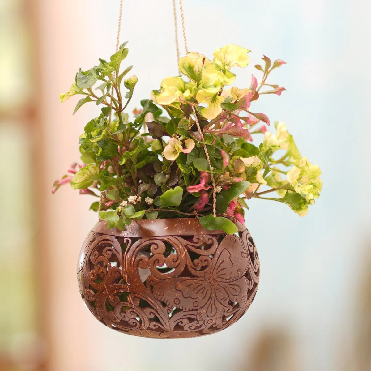 Novica Handmade Tropical House In Butterfly Coconut Shell Hanging Planter
