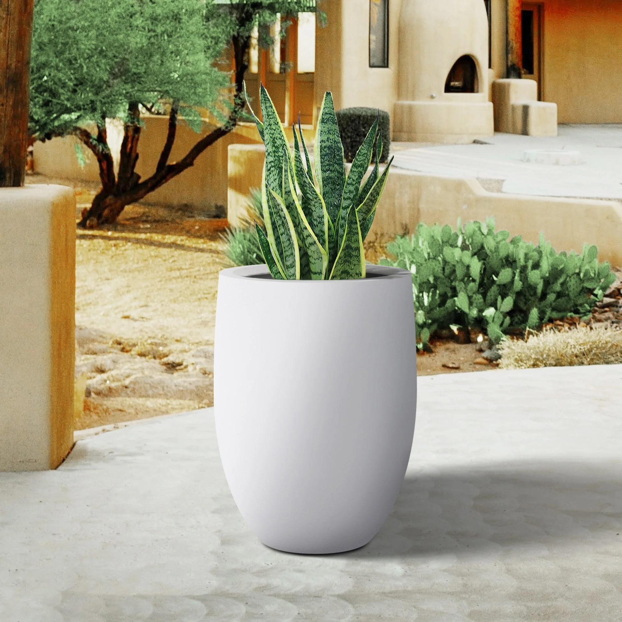 Plantara 22