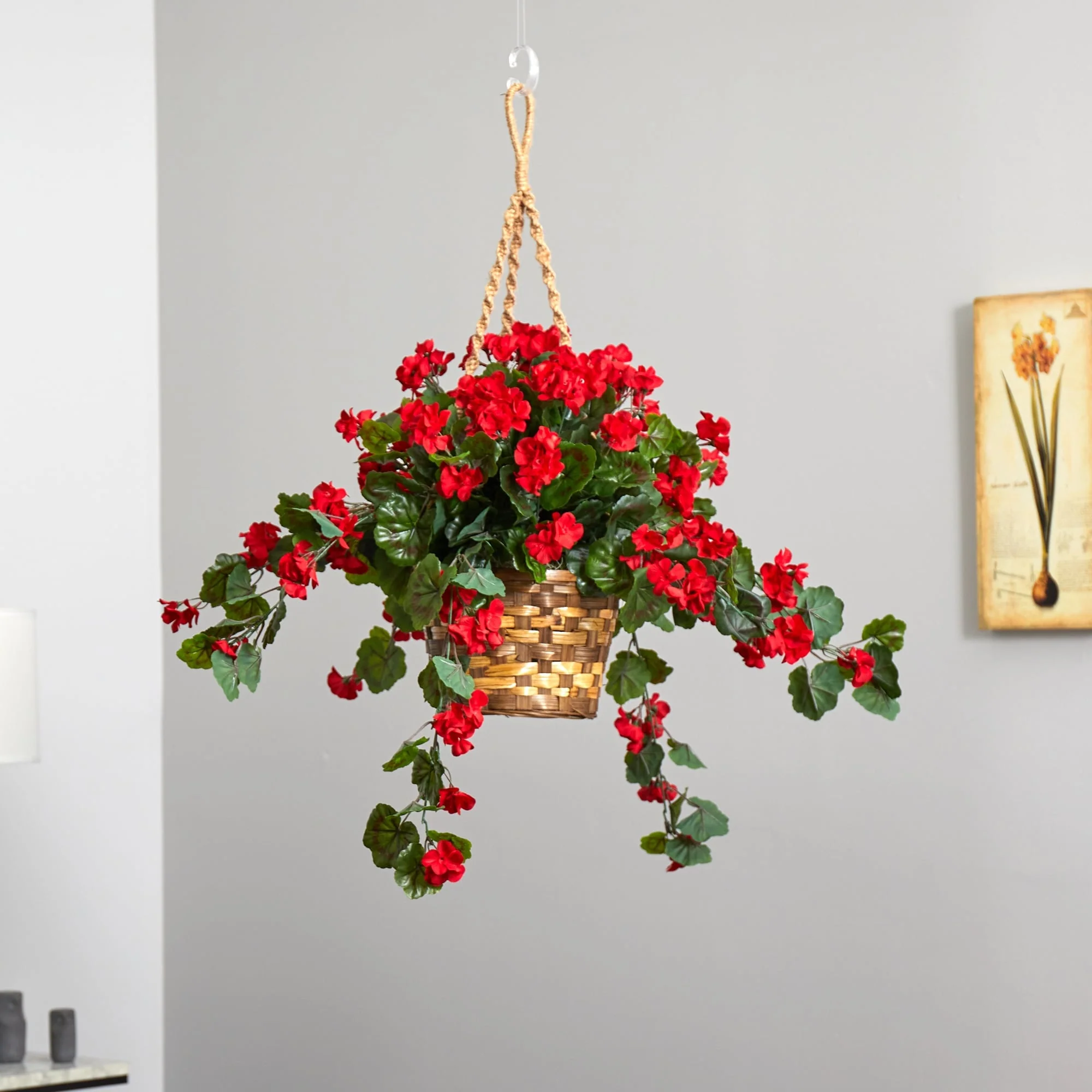 Geranium Hanging Basket - Red