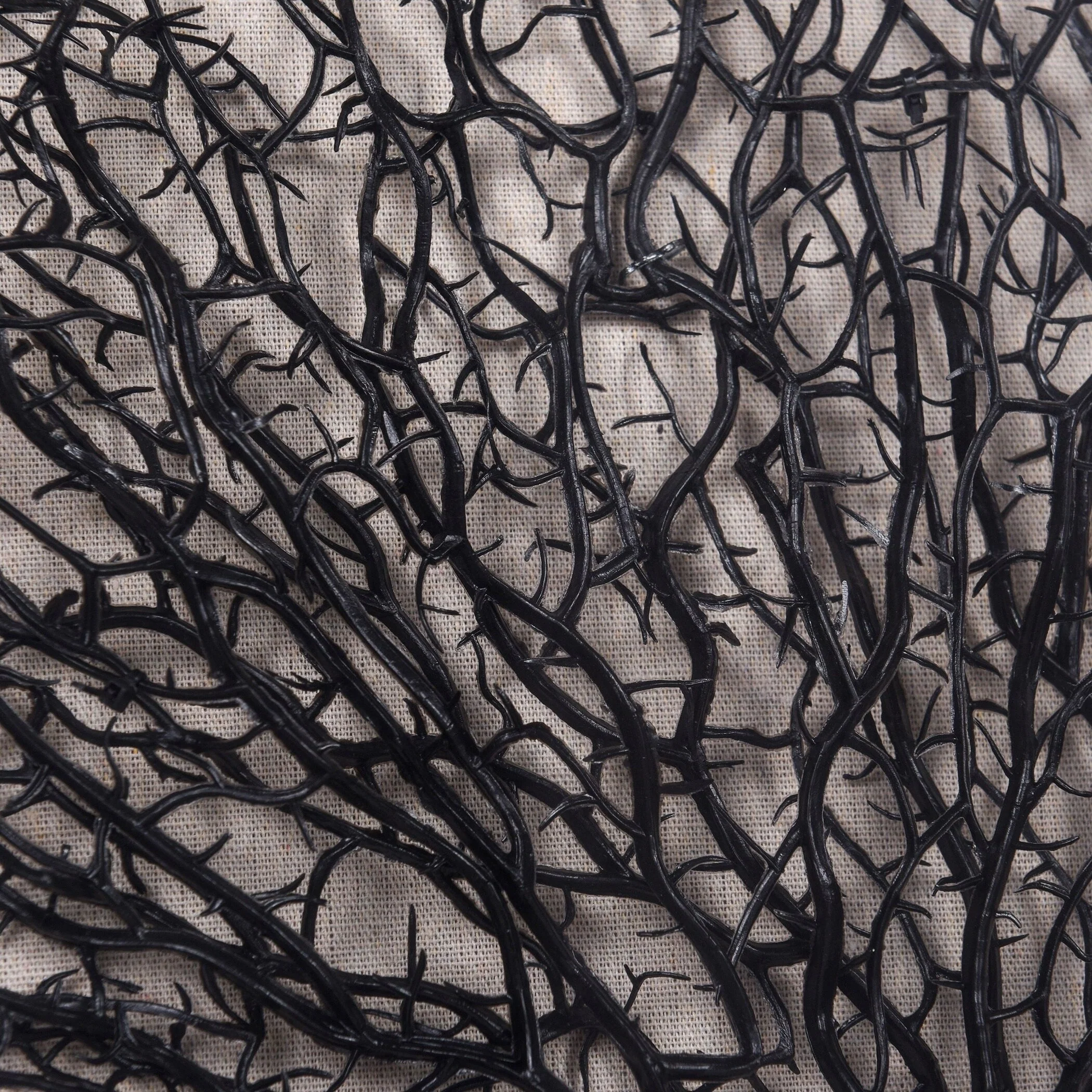 Tree on Black Background Shadow Box