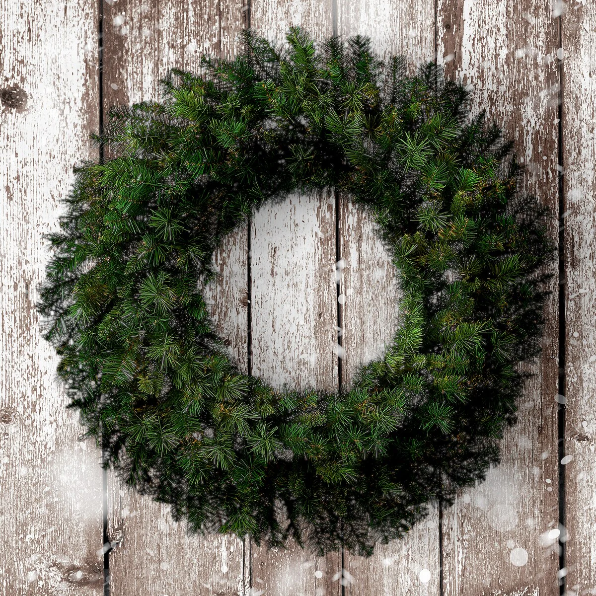 New Zealand Pine Wreath 36