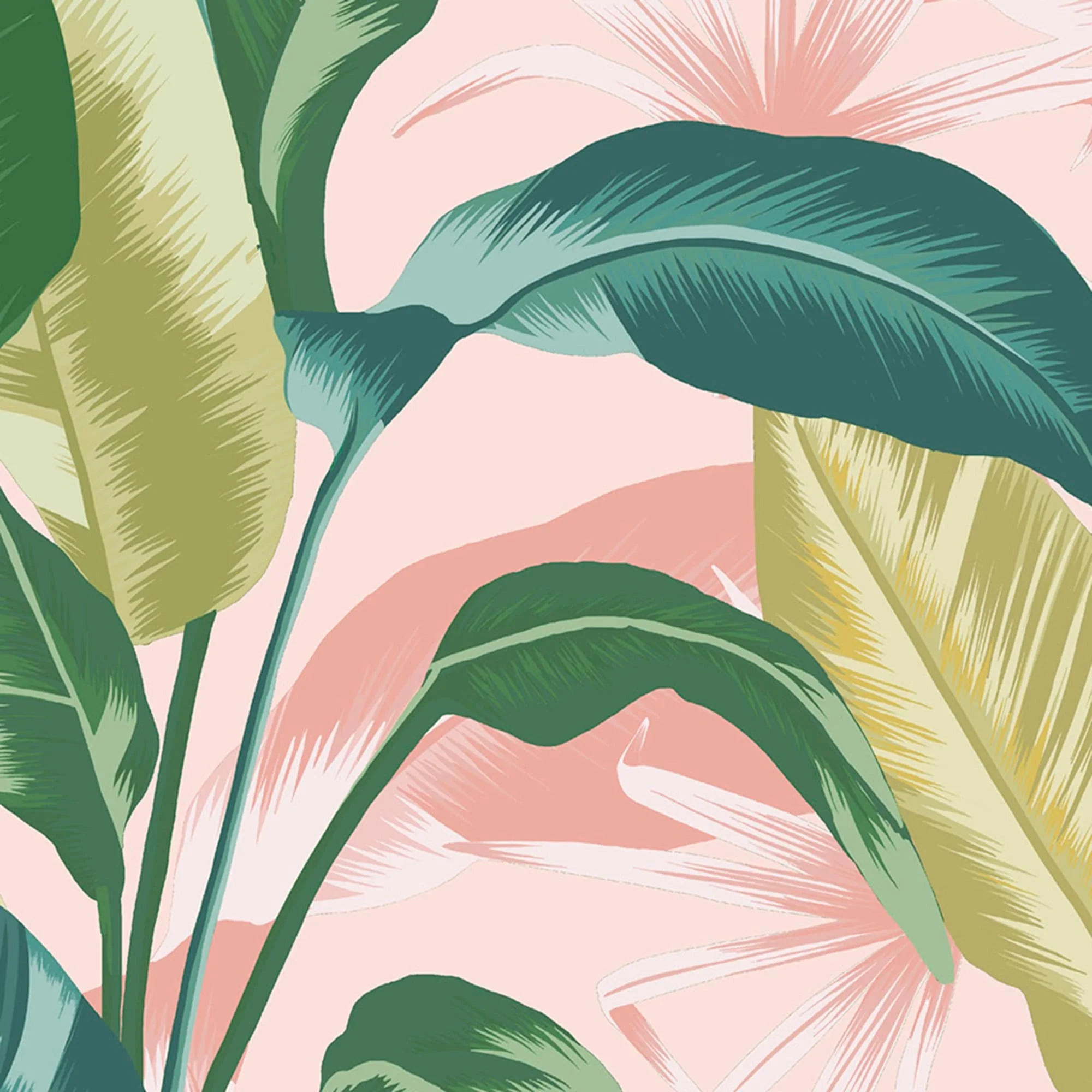 Envy Leaf It Out Sunrise Wallpaper