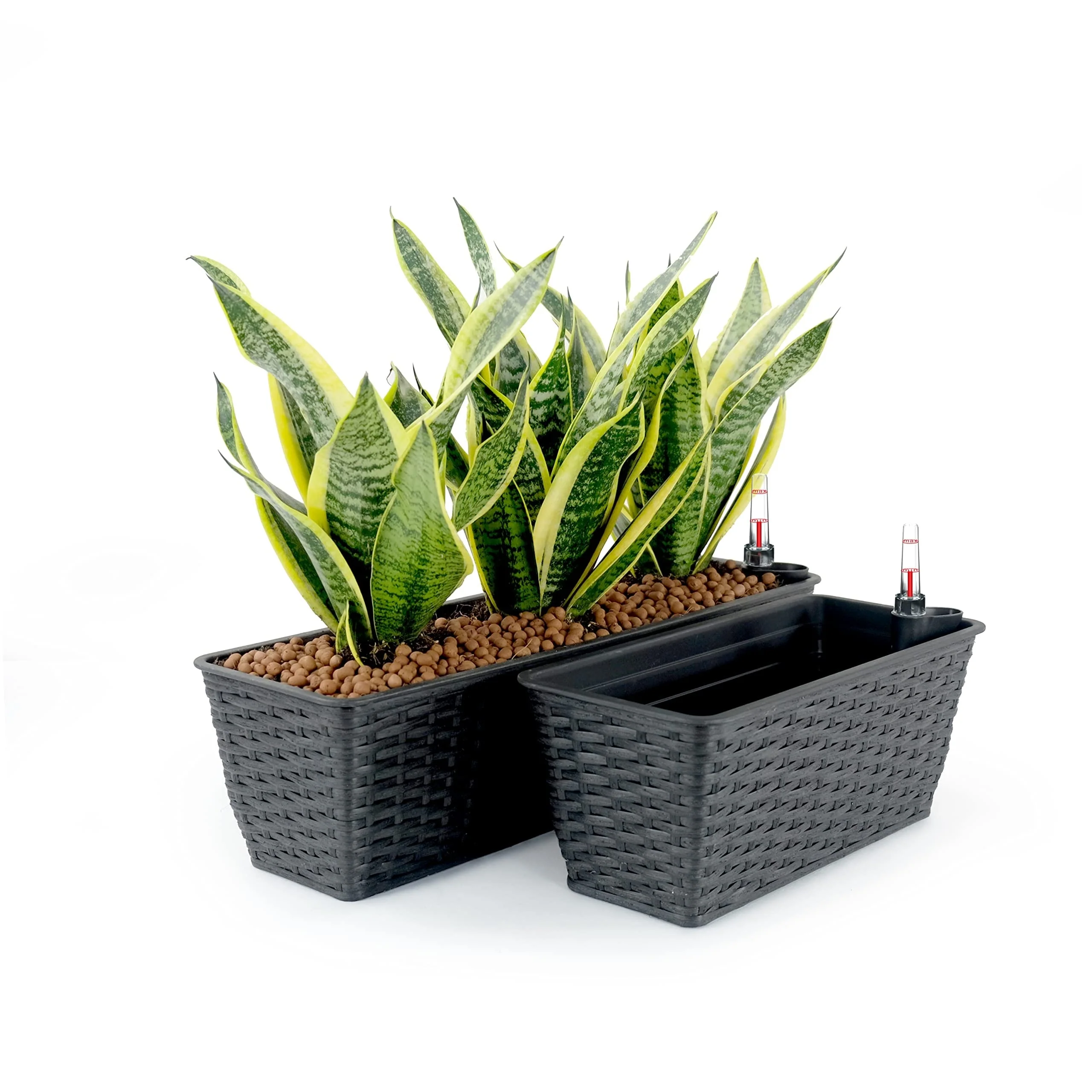 DTY Signature Rectangular Wicker Planters