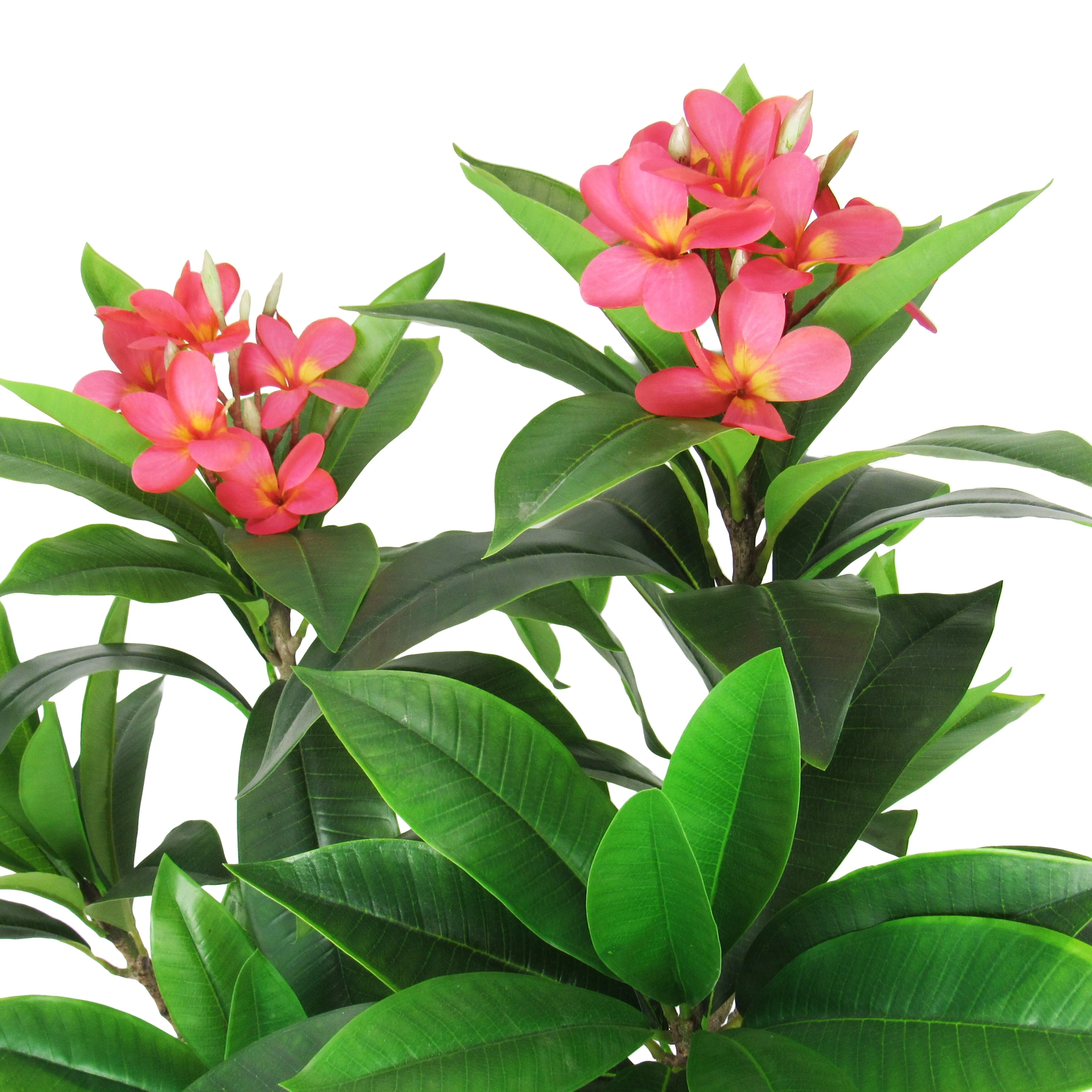 4ft Fuchsia Artificial Plumeria Flower Tree Tropical Plant in Black Pot - 48