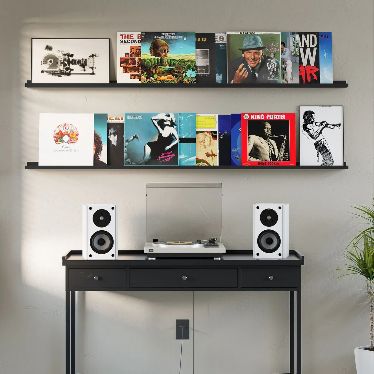 Wallniture Denver Picture Ledges, Floating Shelves for Photo Frame Display, 72