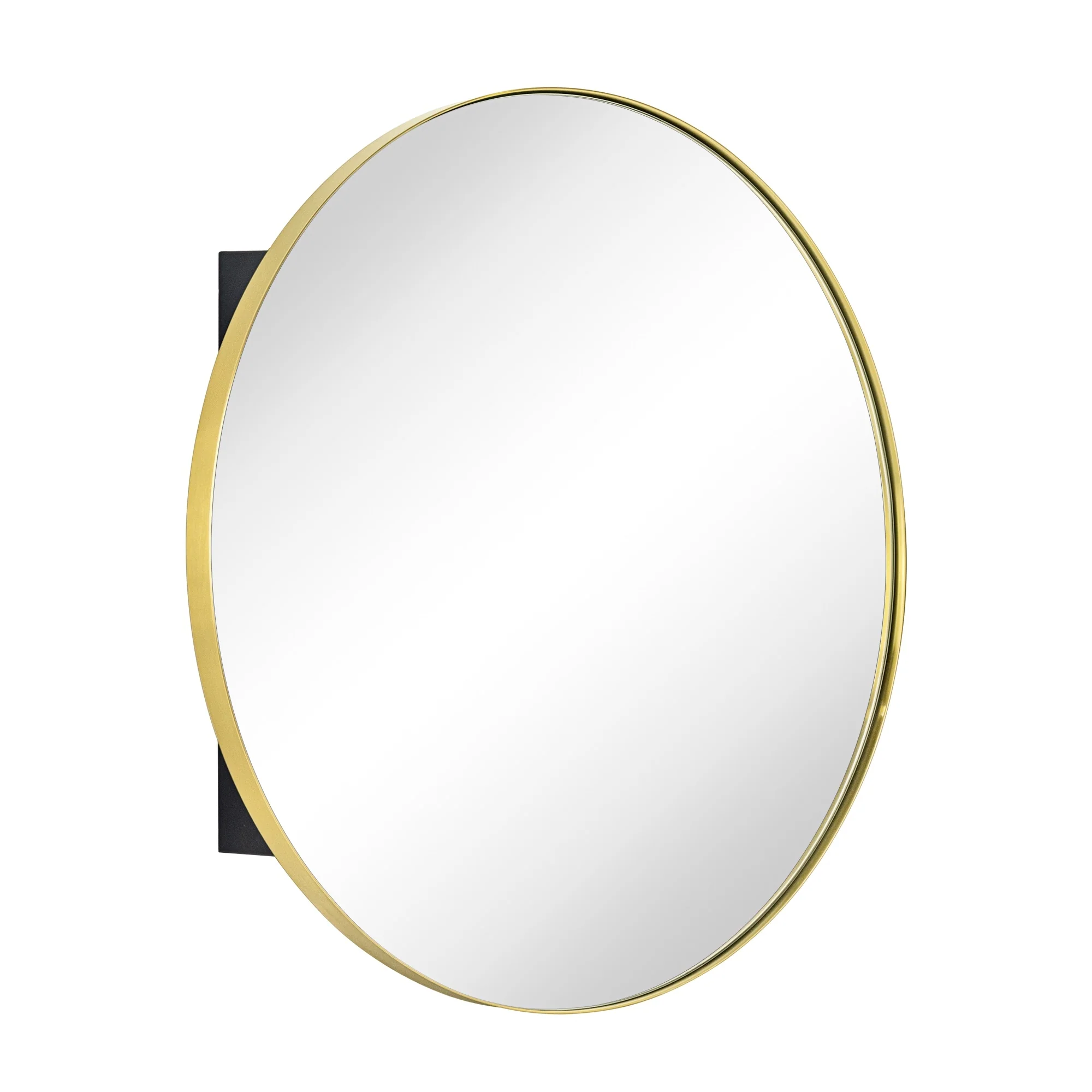 TEHOME Myriel Surface Mount Framed Round Medicine Cabinet with Mirror