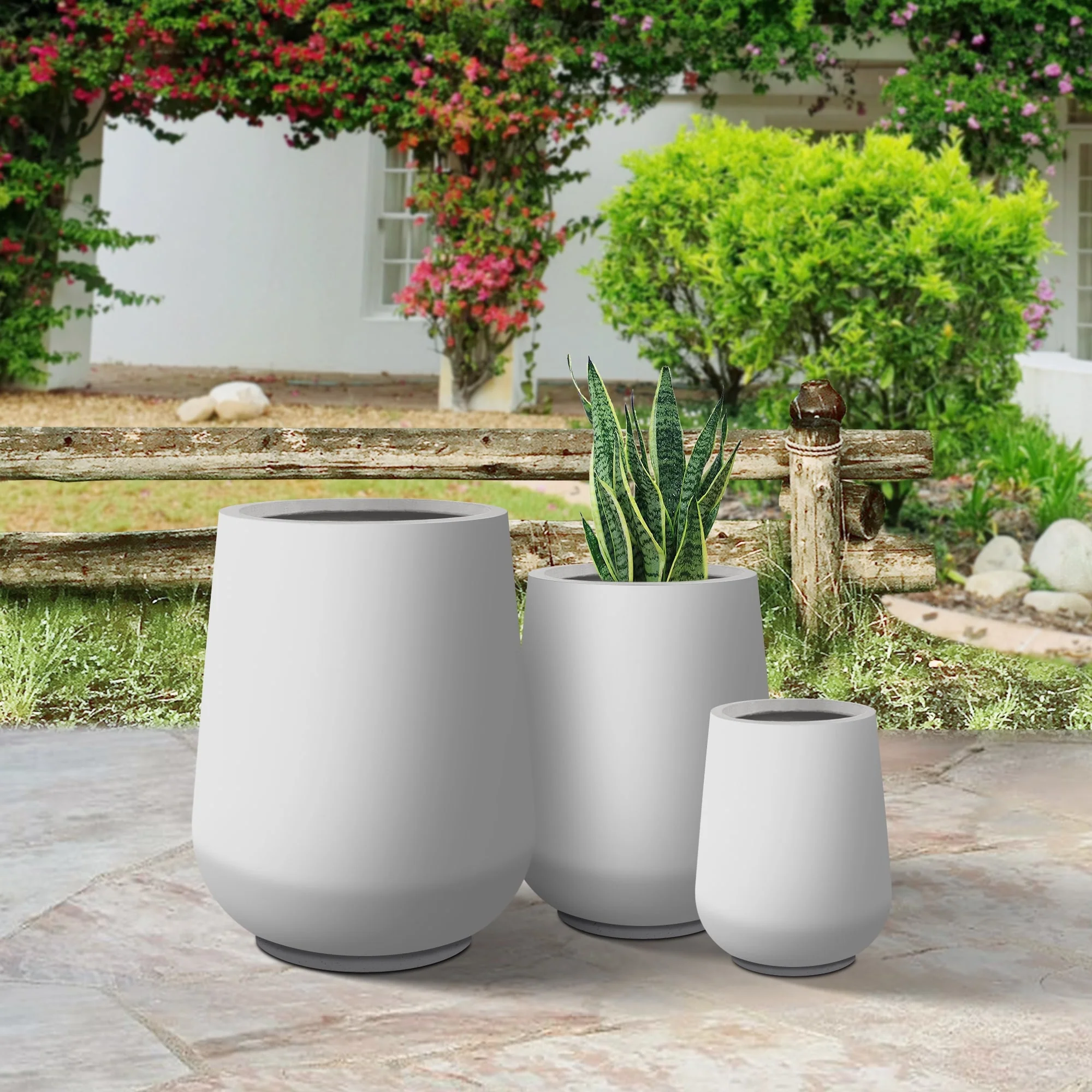 Plantara 28