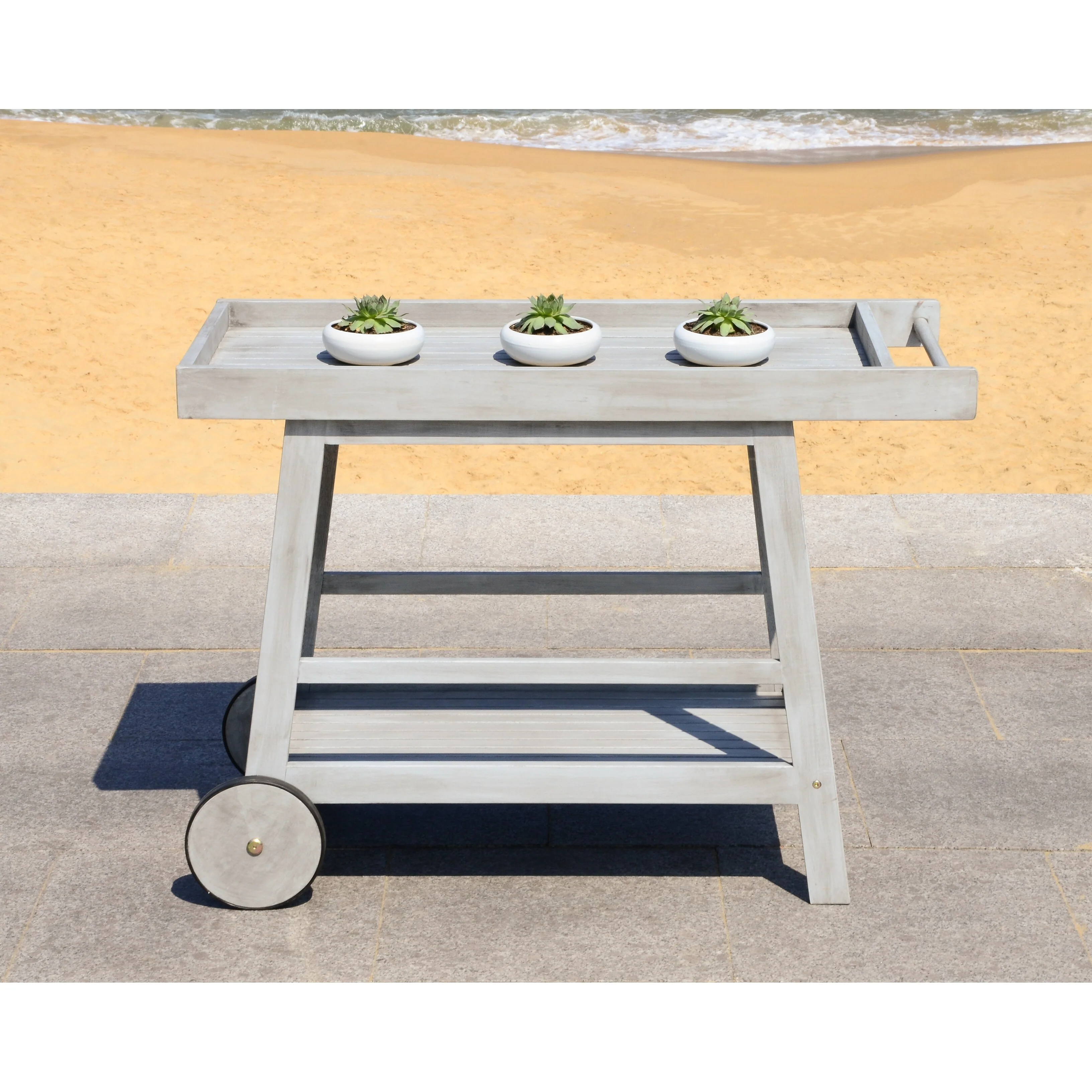 SAFAVIEH Outdoor Hayleigh Bar Cart - 48Wx20Dx32H