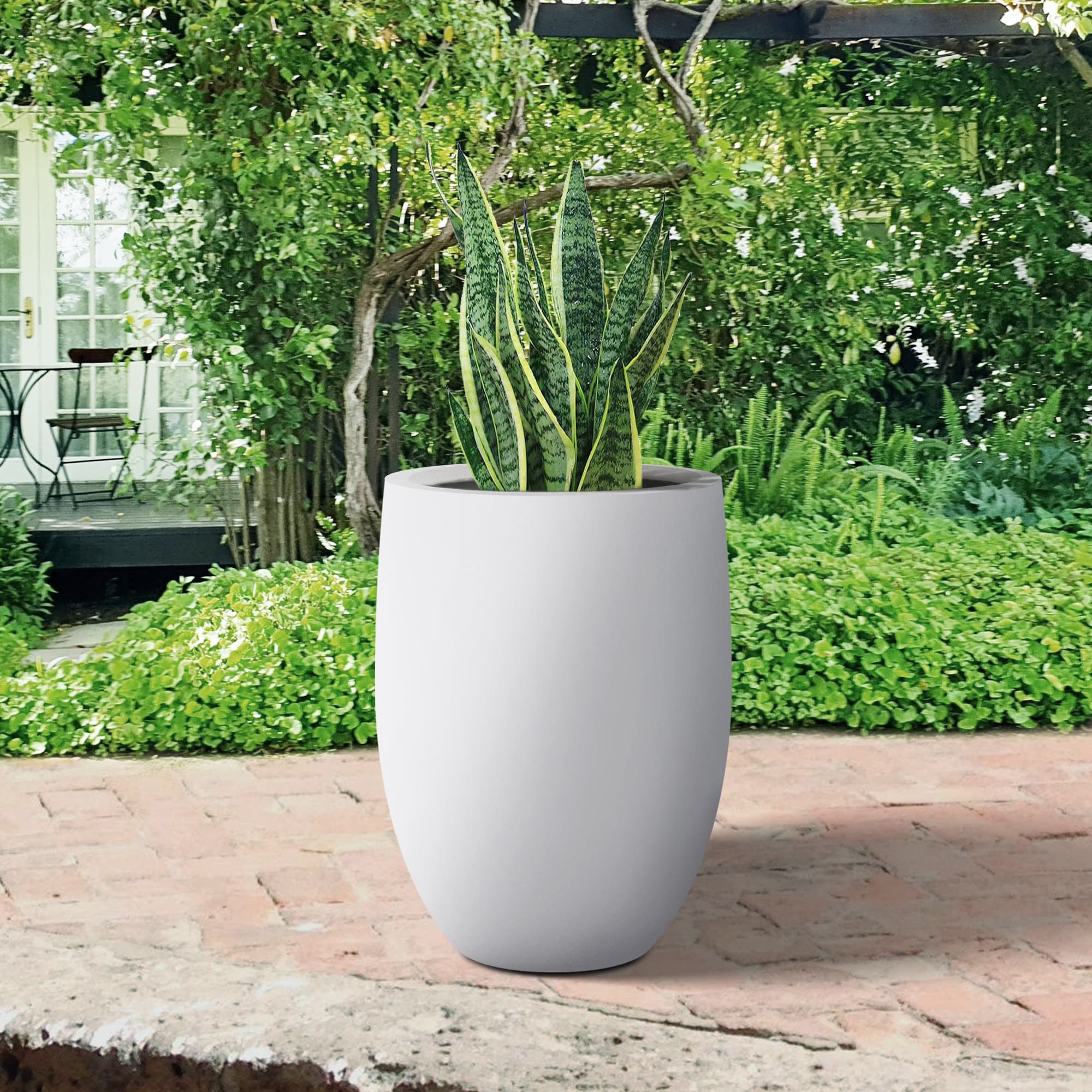 Plantara 22