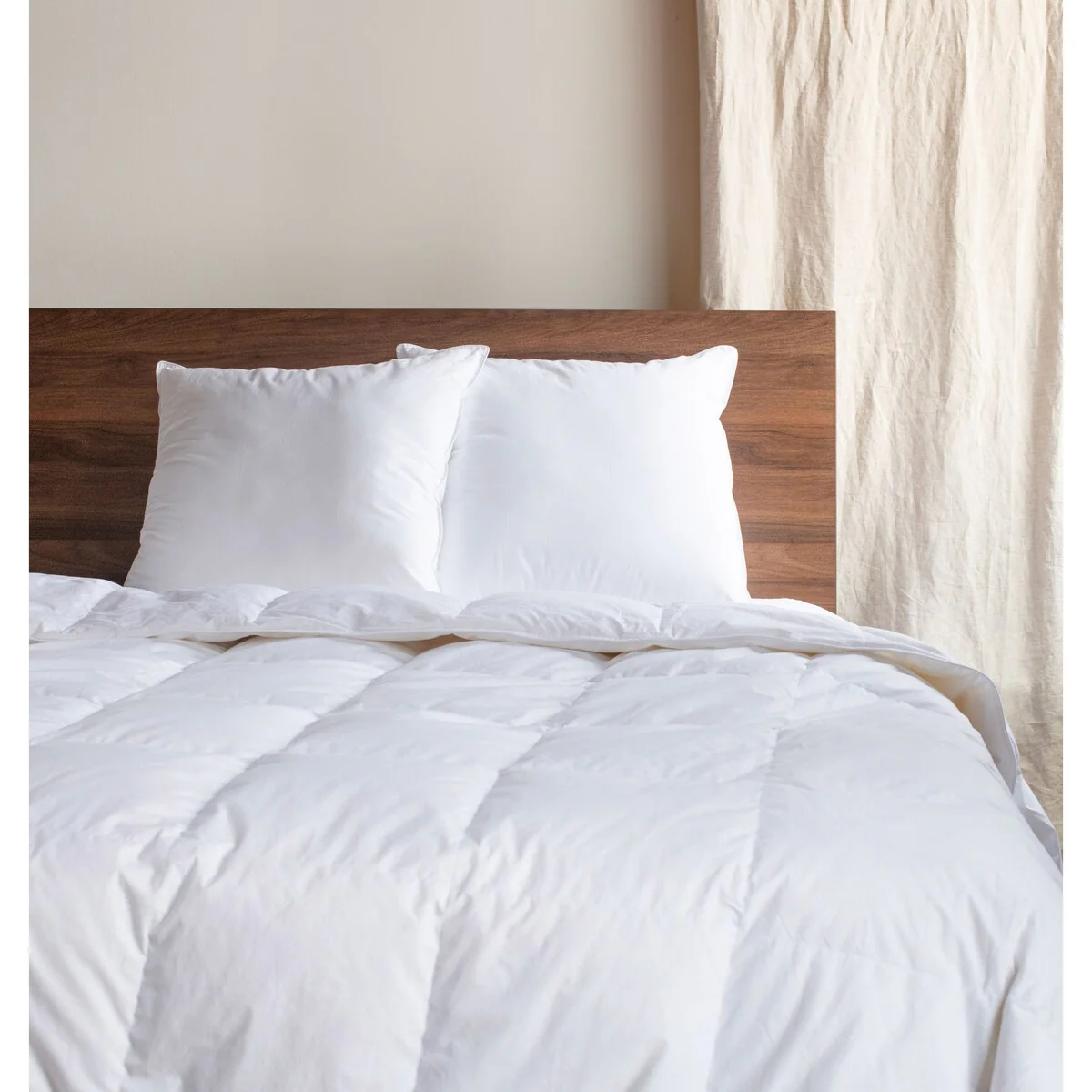 2 Pack Down Alternative Throw Pillow Insert by BOKSER HOME