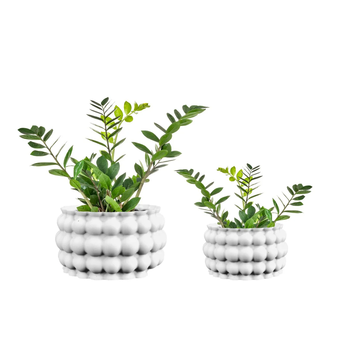 happimess Cindy Contemporary MidCentury Indoor Bubble Pattern Eco-Friendly 3D Printed Planters with Drainage, (Set of 2)