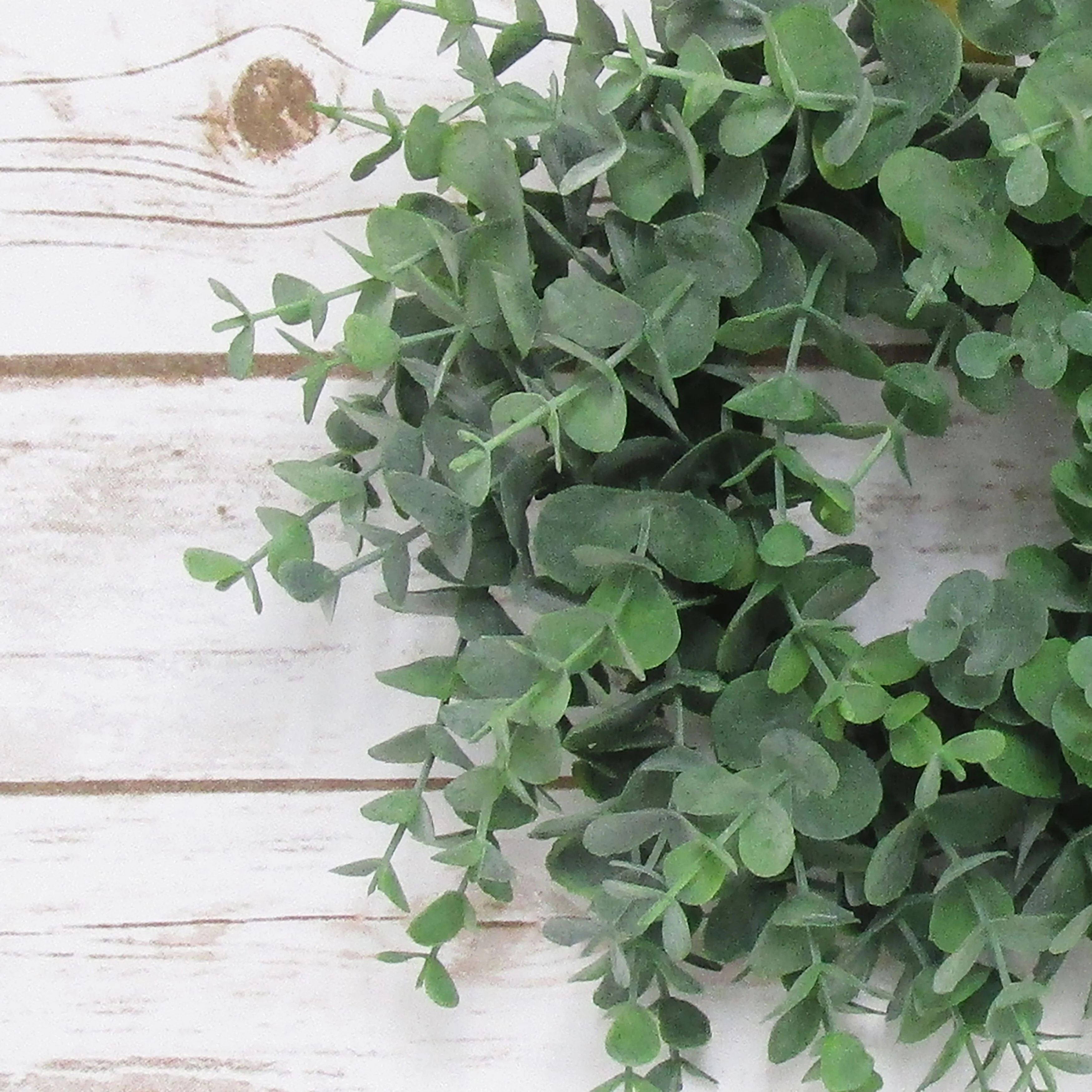 Petite Frosted Green Artificial Eucalyptus Leaf Foliage Greenery Wreath 9in