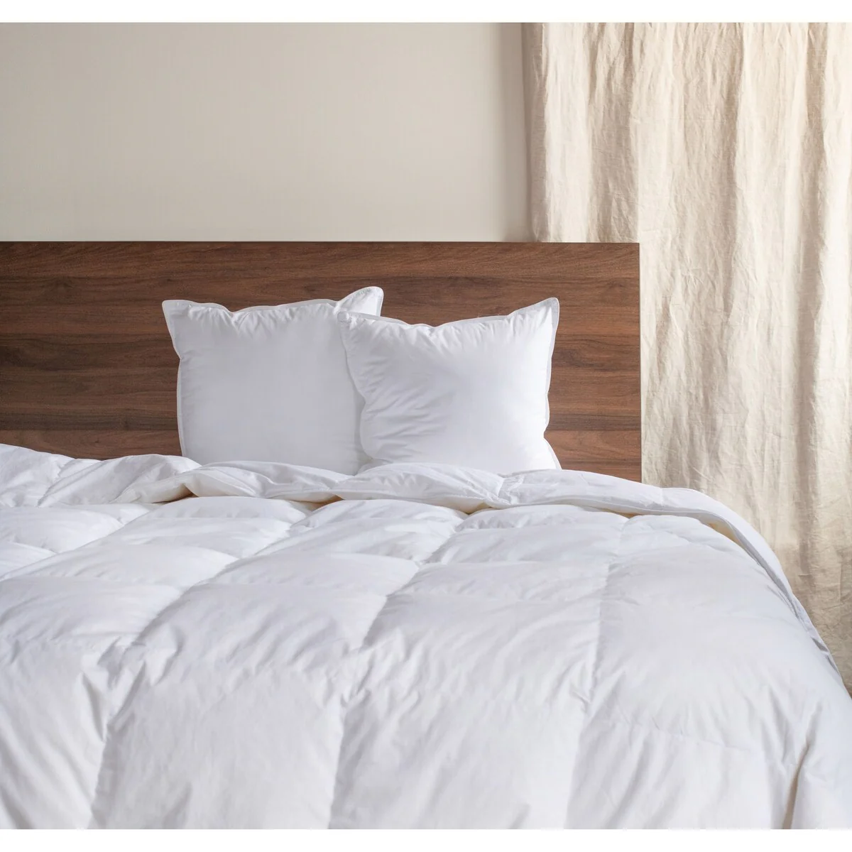 2 Pack Down Alternative Throw Pillow Insert by BOKSER HOME