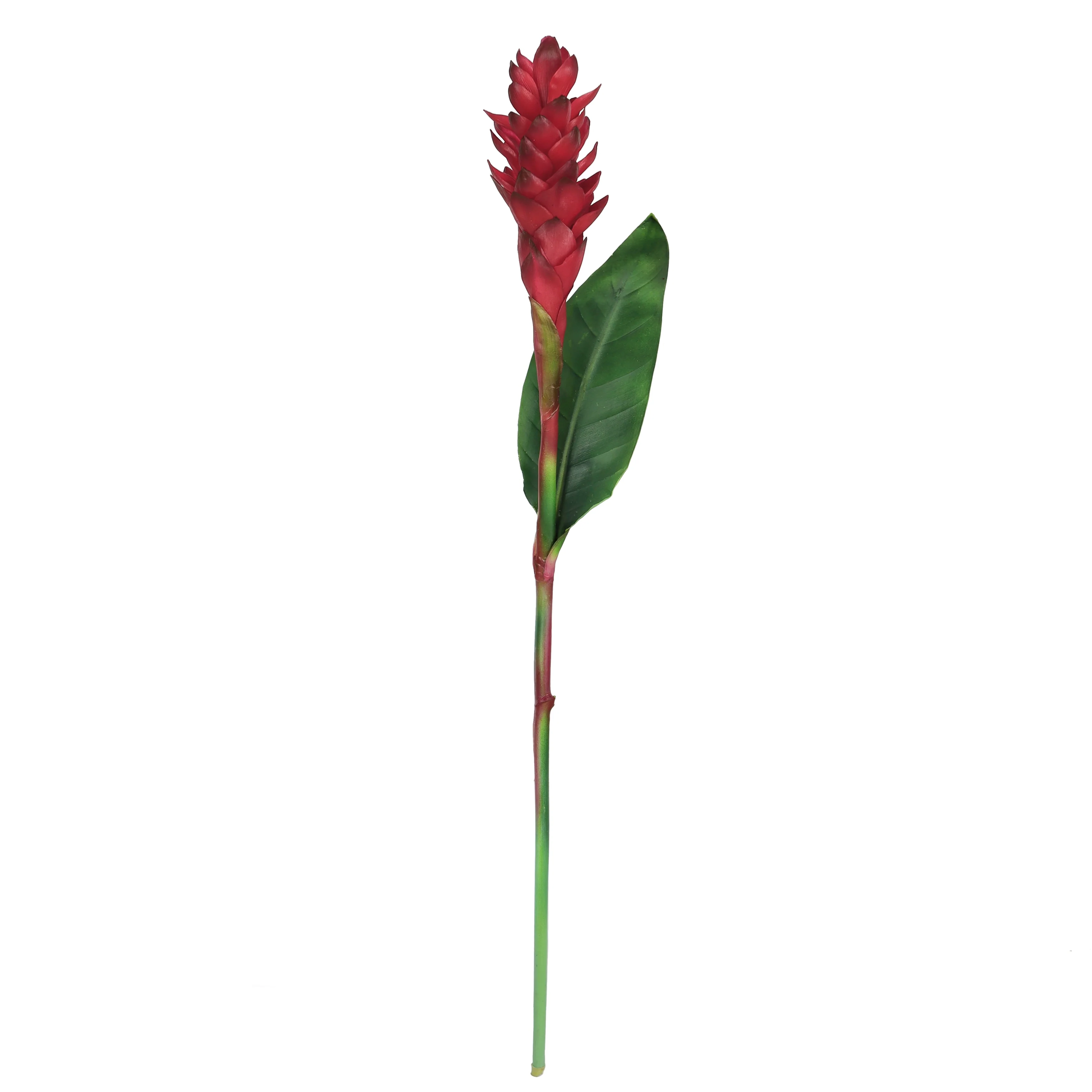 Set of 2 Real Touch Red Artificial Ginger Flower Stem Tropical Spray with Leaf 31in - 31