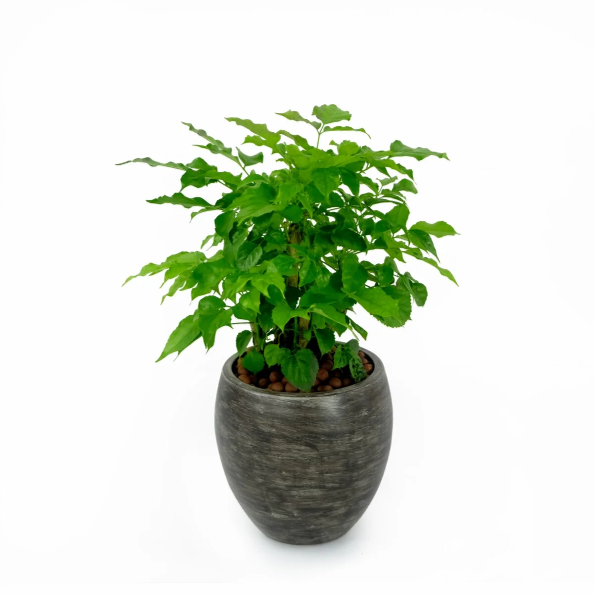 Smart Self-watering Round Planter Pot for Indoor and Outdoor