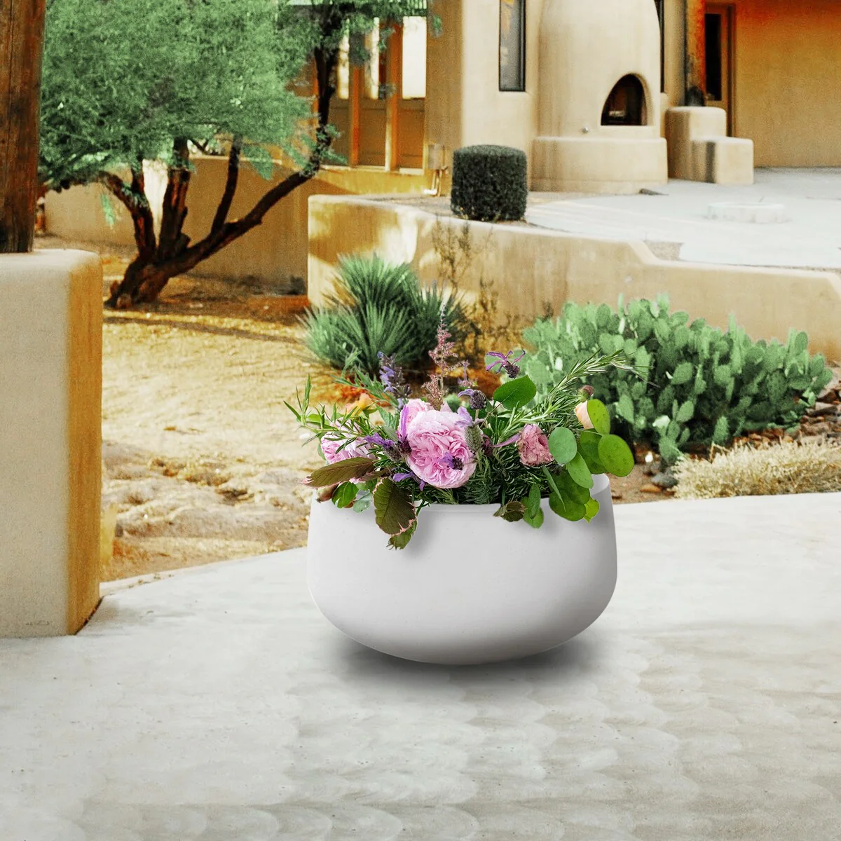 Plantara 20