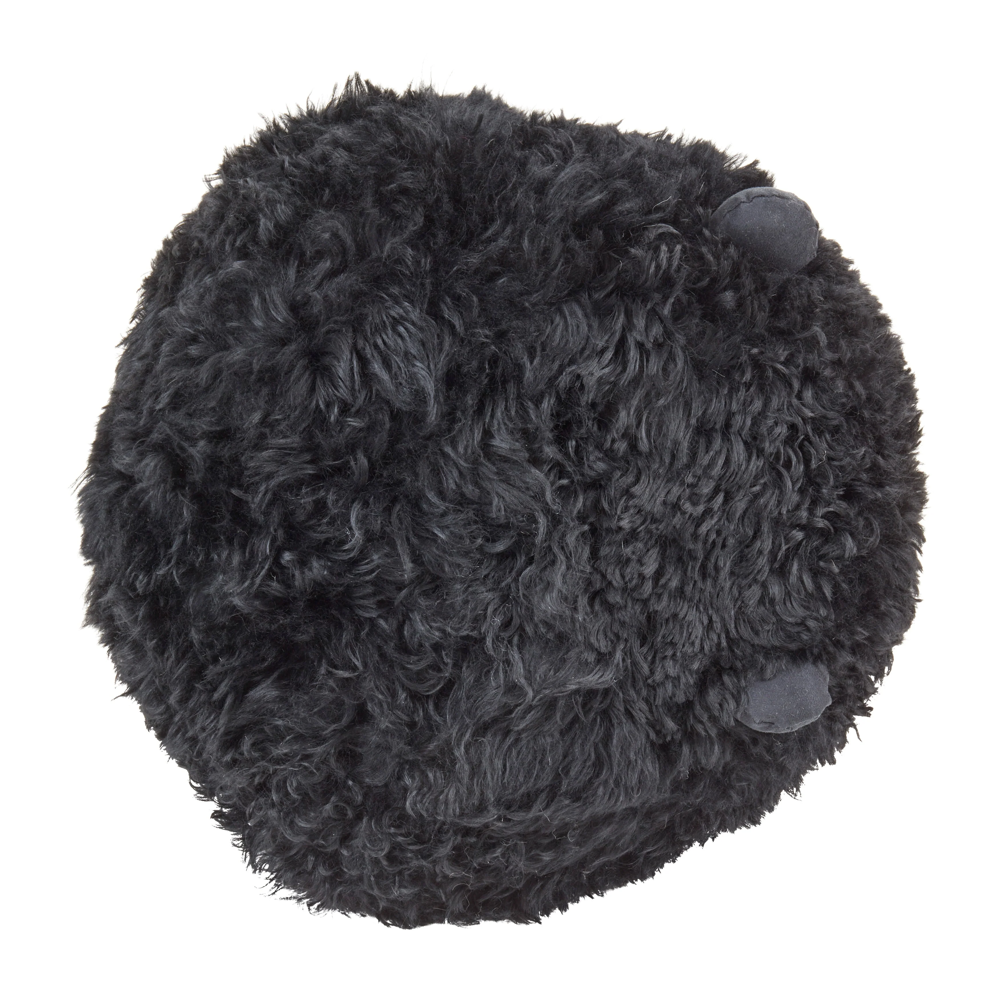 Wooly Wonder Baby Lamb Poly Filled Throw Pillow